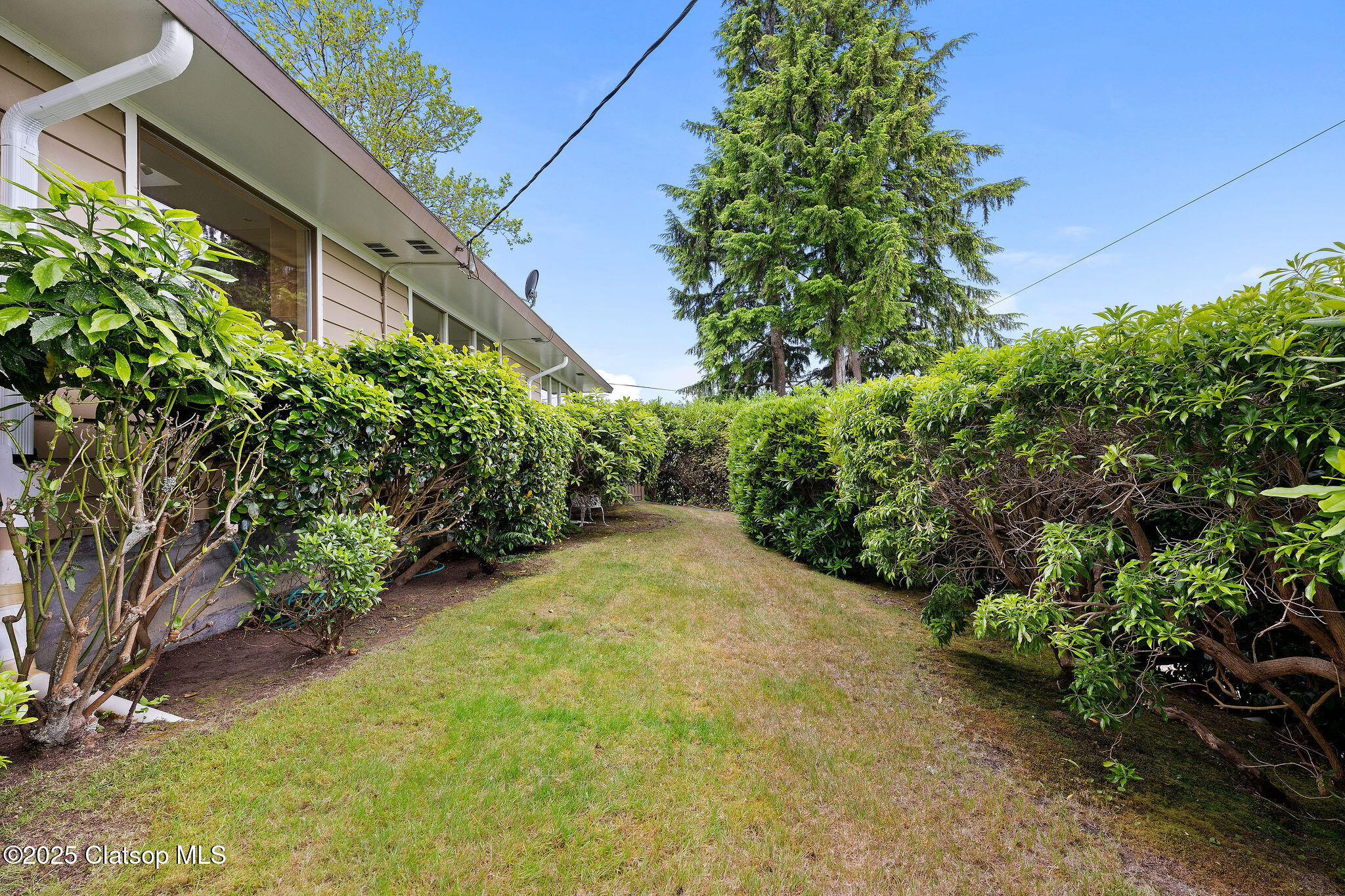 1228 11th Street Property Photo 37
