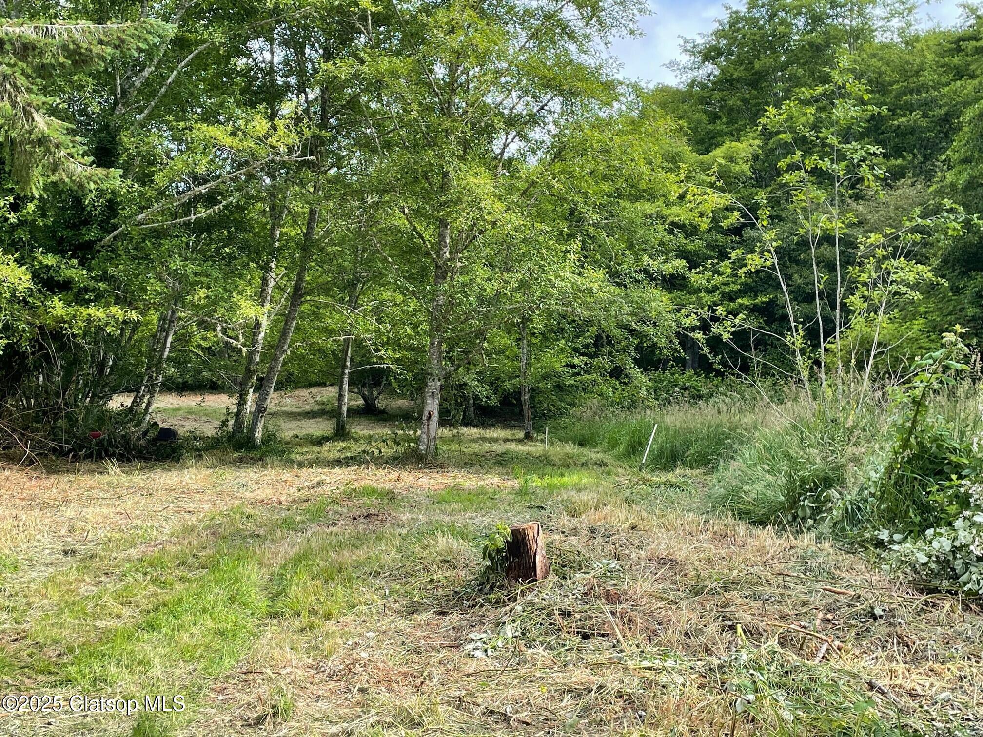 Salminen Lane Property Photo 2