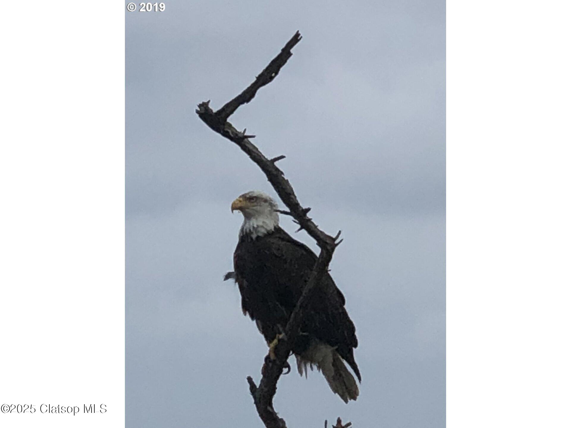 163 W 1st Street Property Photo 36