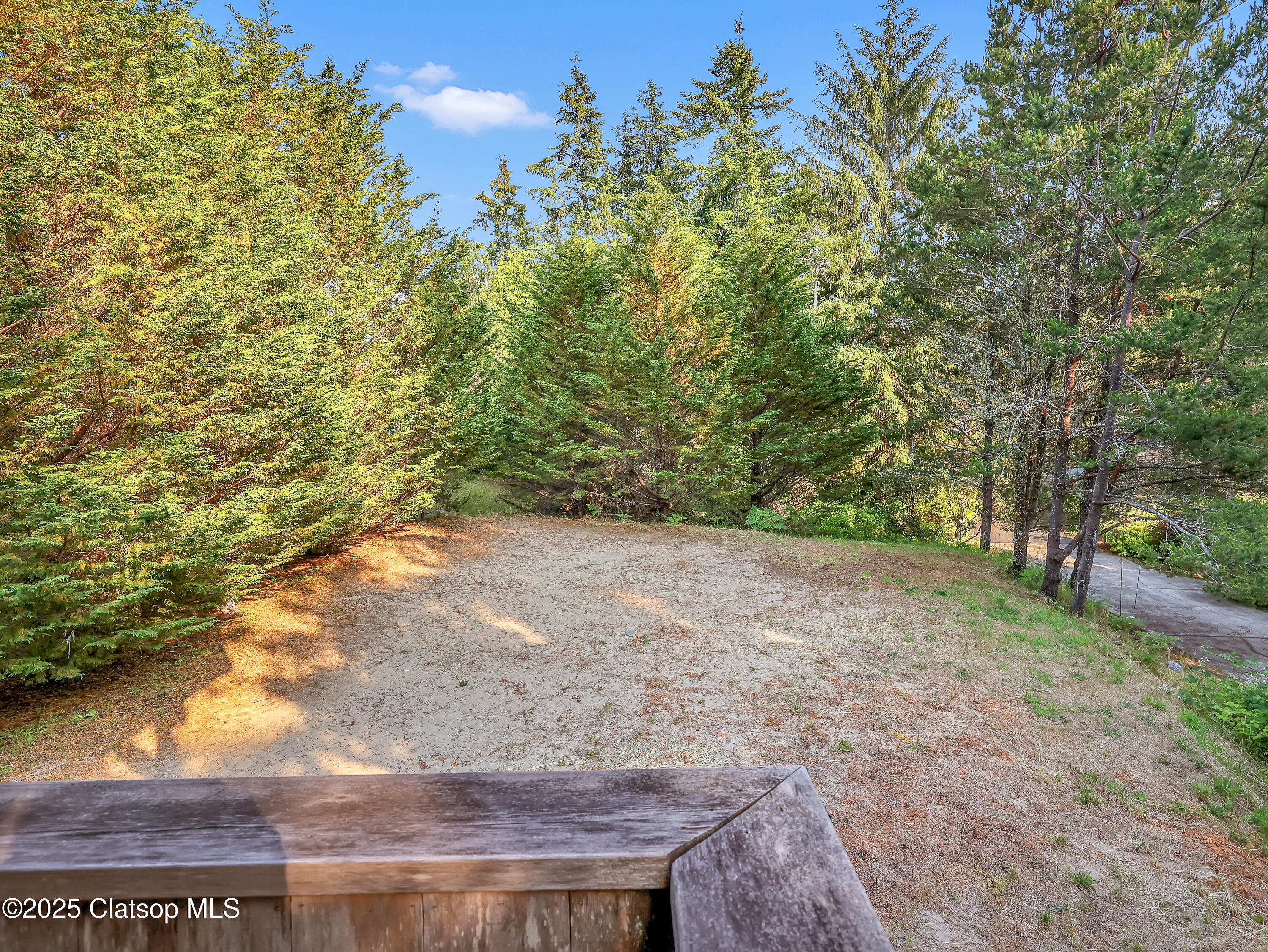 10305 Pine Ridge Drive Property Photo 48