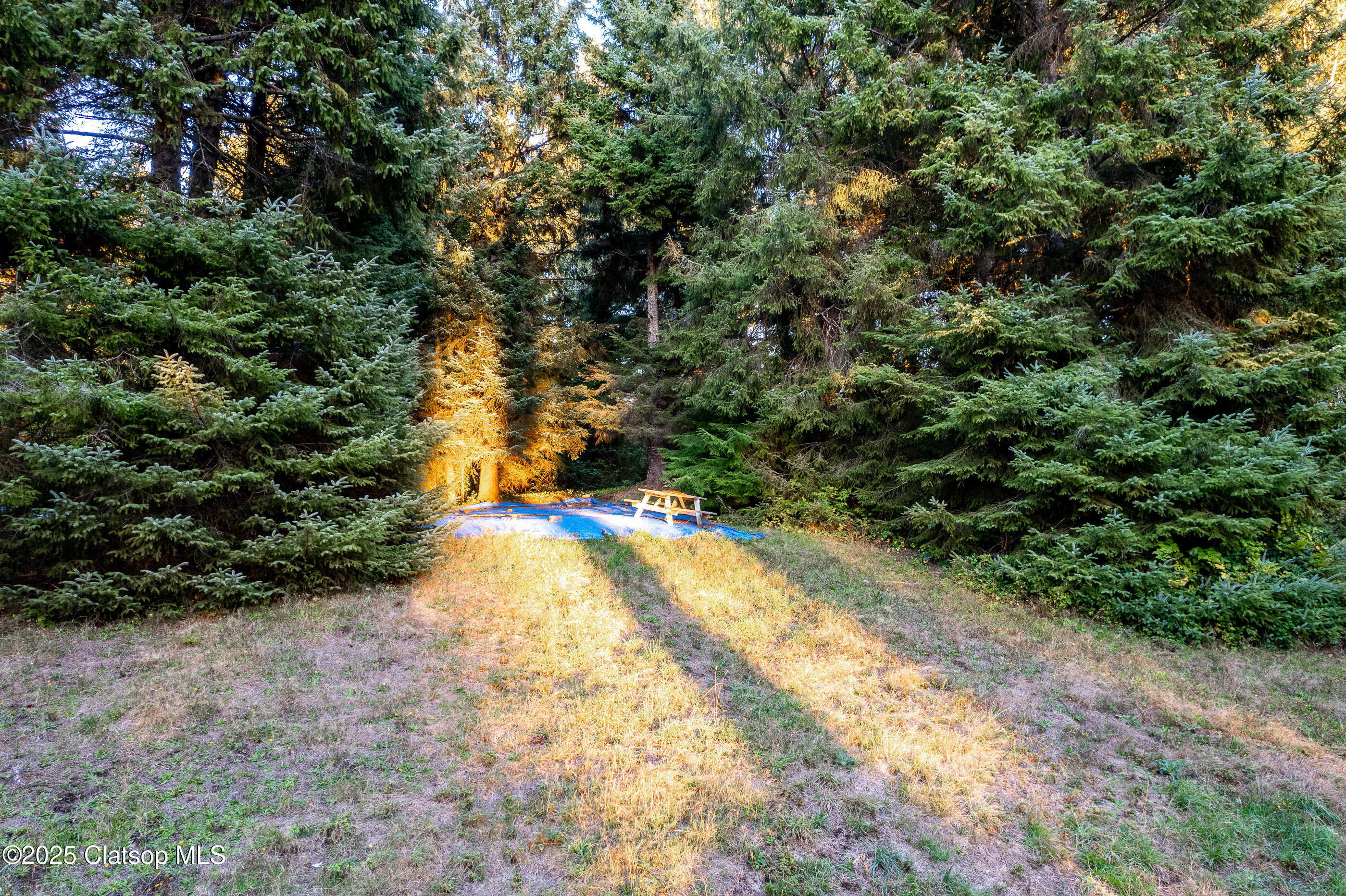 Tl 00101 Kenton Avenue Property Photo 3