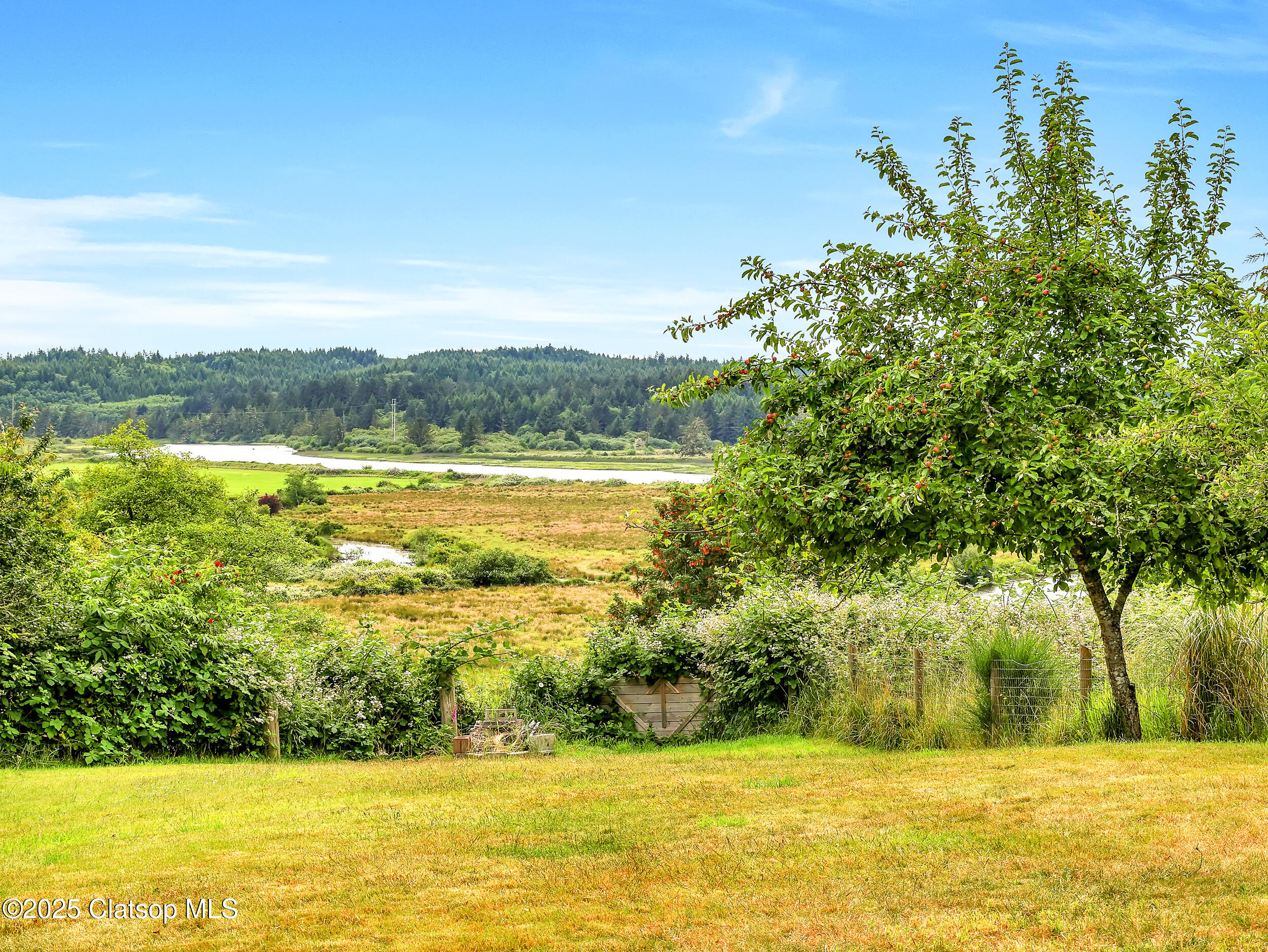 35208 Orchard Lane Property Photo 26