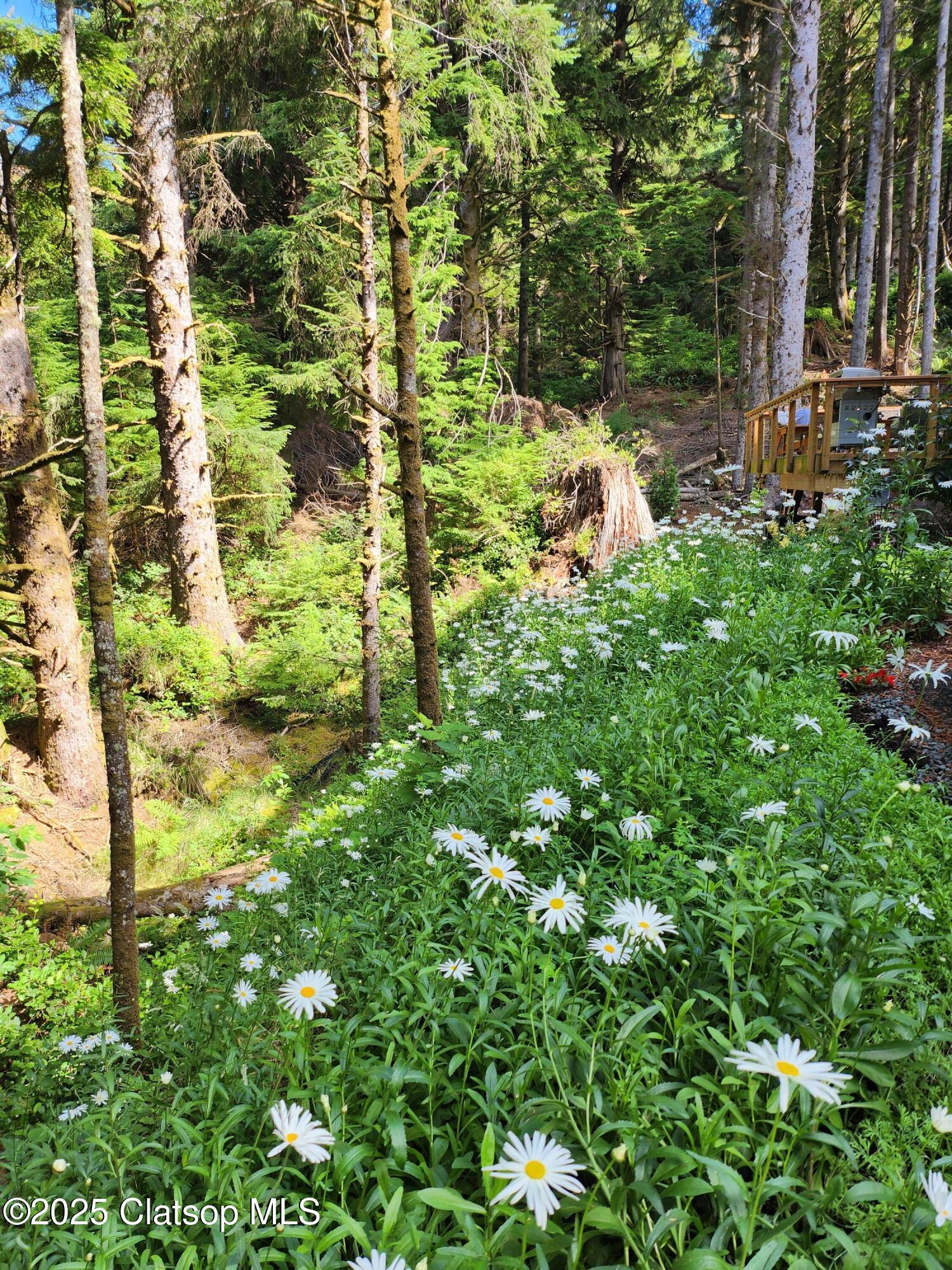 32029 Walsh Lane Property Photo 49