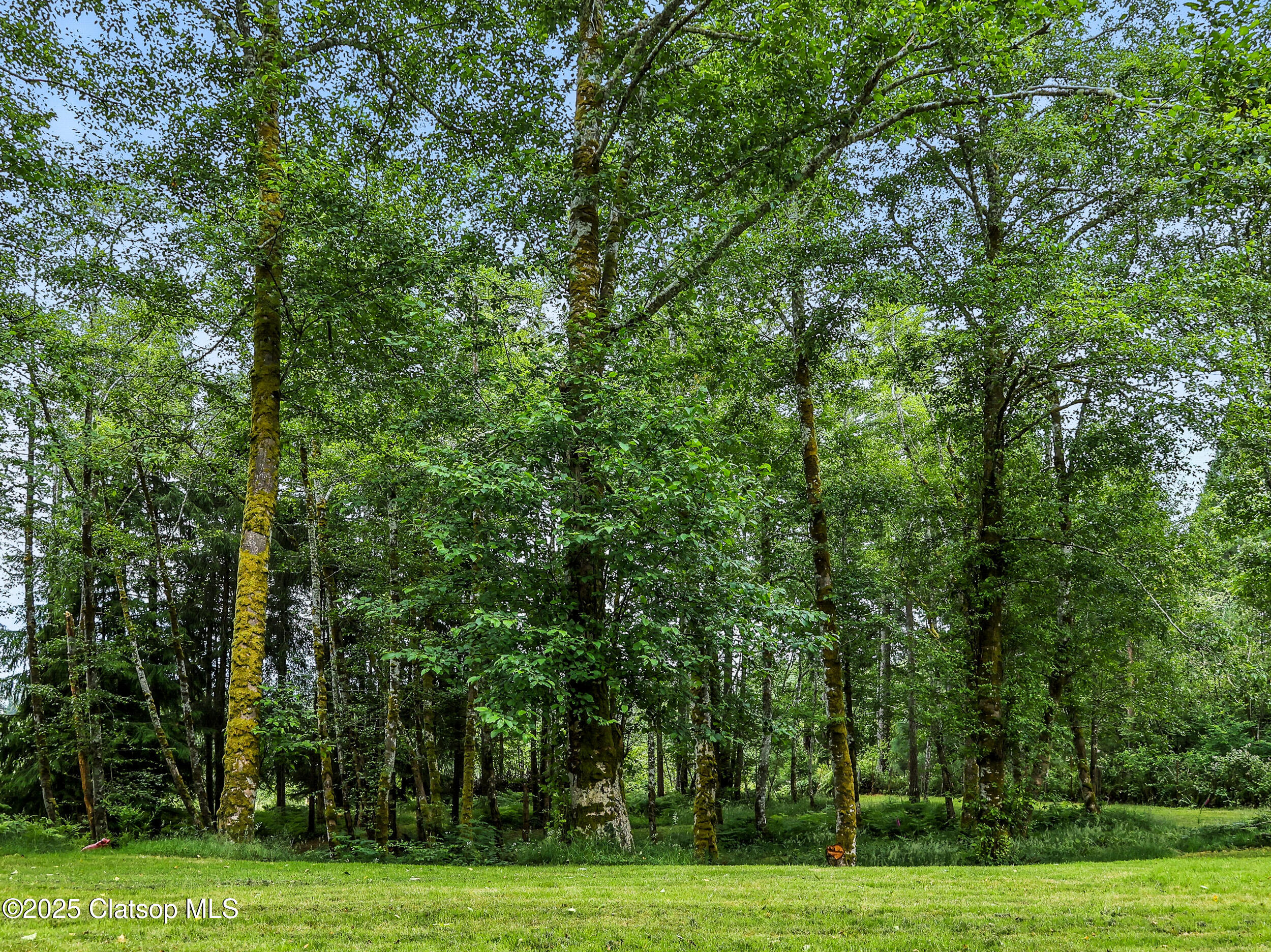 42729 Hwy 30 Property Photo 21