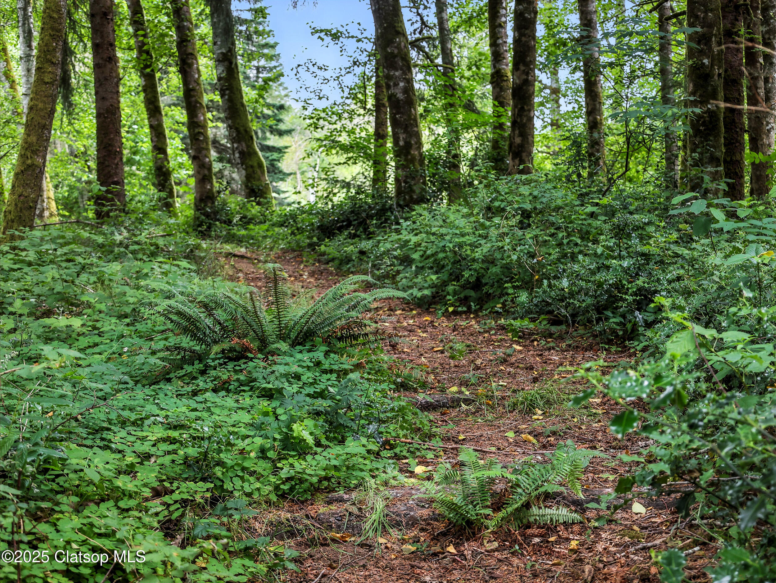 42729 Hwy 30 Property Photo 23