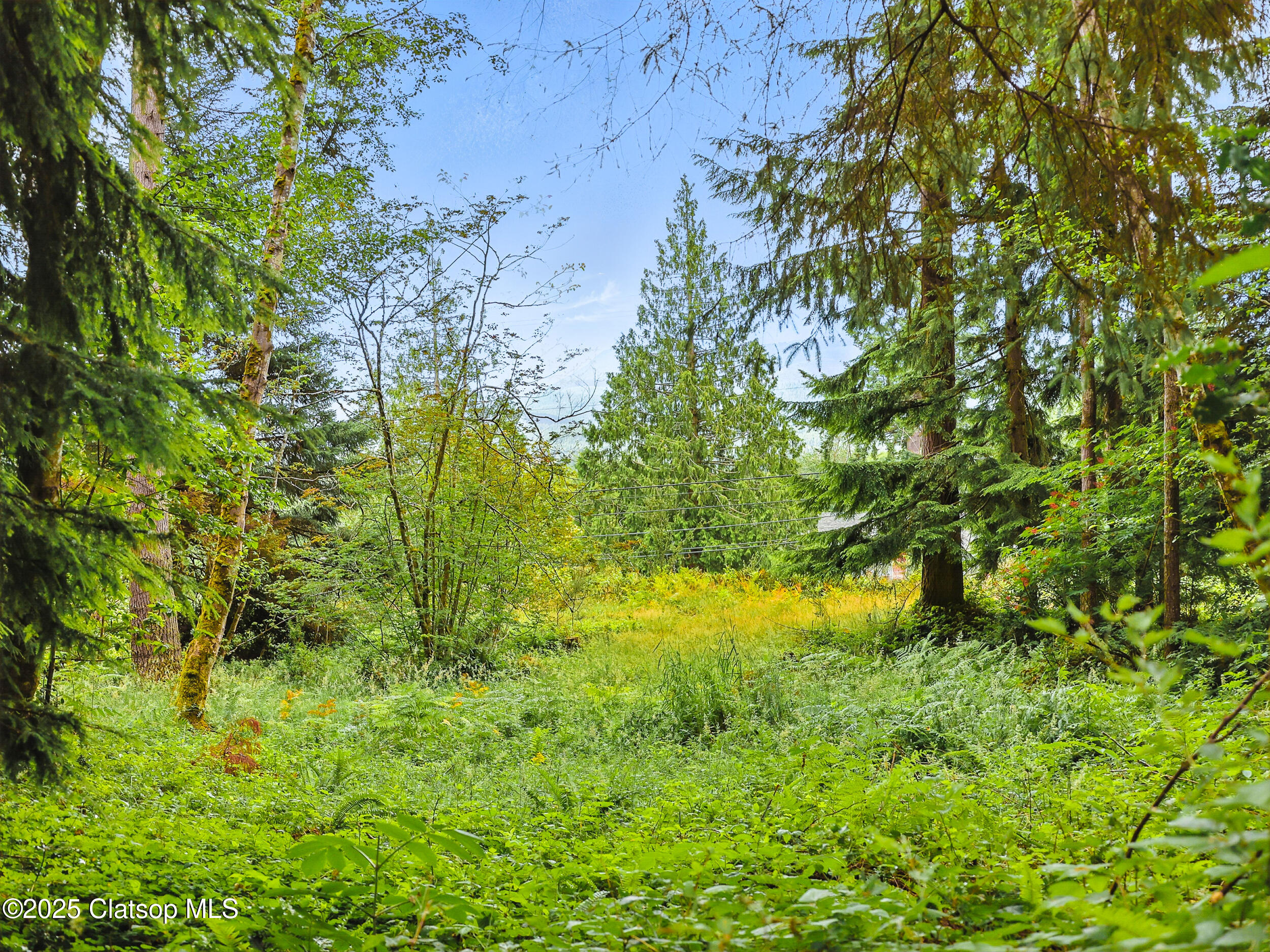 42729 Hwy 30 Property Photo 27