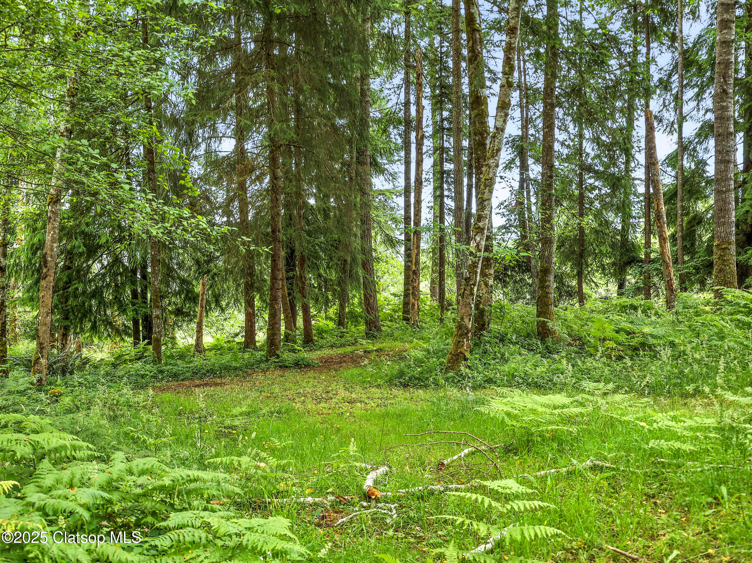 42729 Hwy 30 Property Photo 32