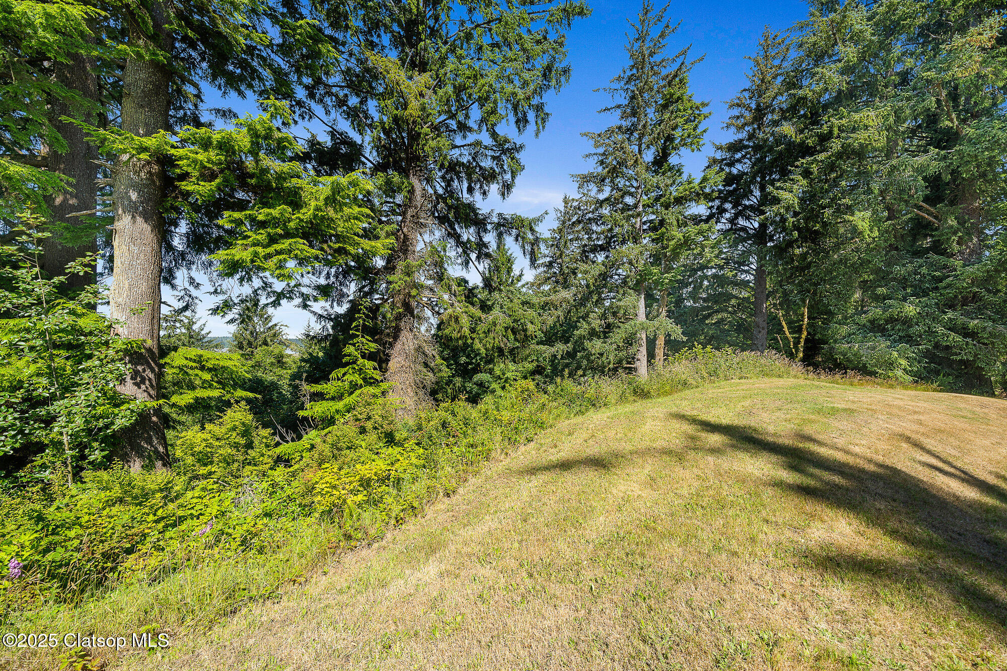 Nehalem Point Drive Property Photo 4