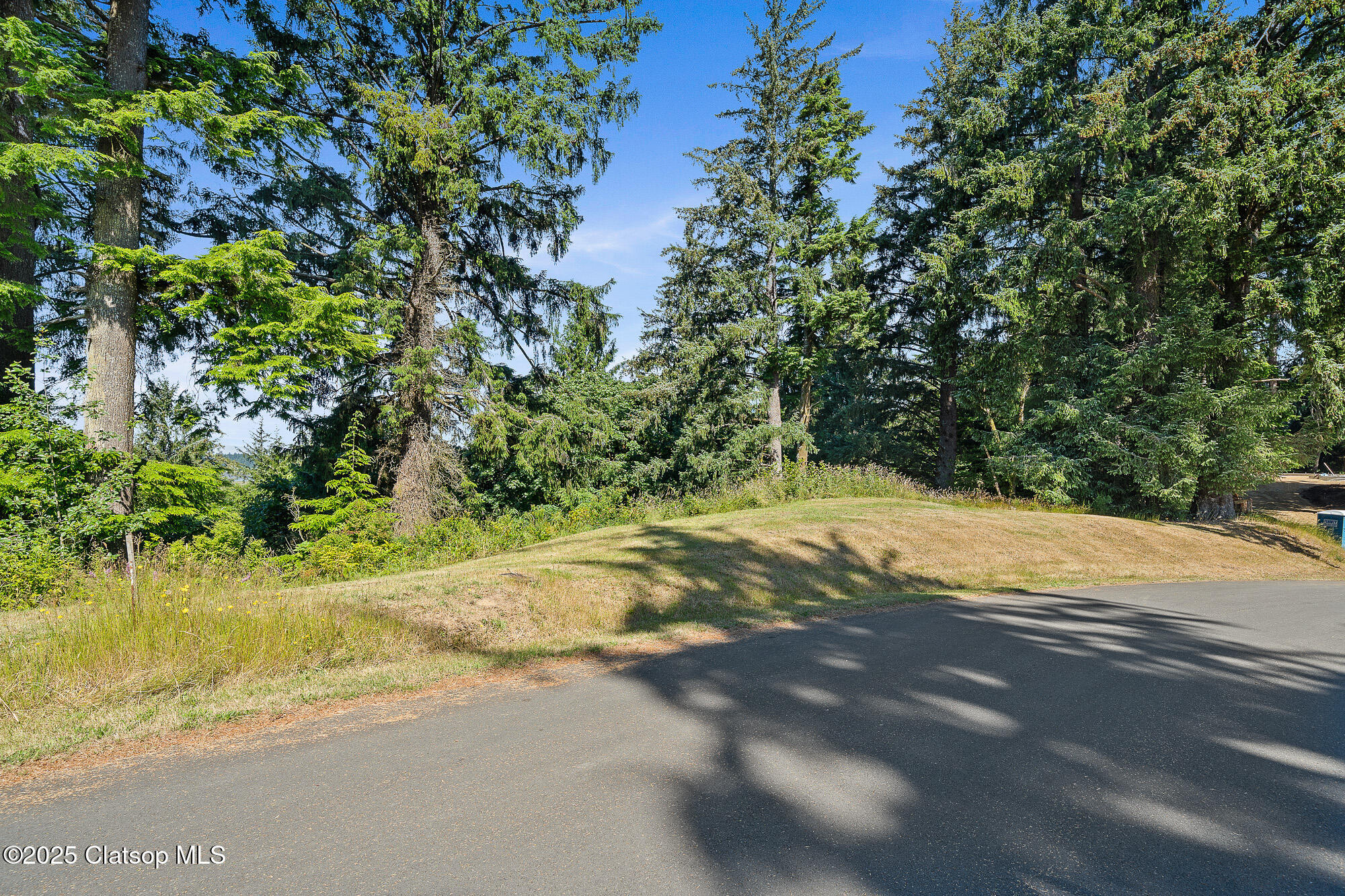 Nehalem Point Drive Property Photo 5