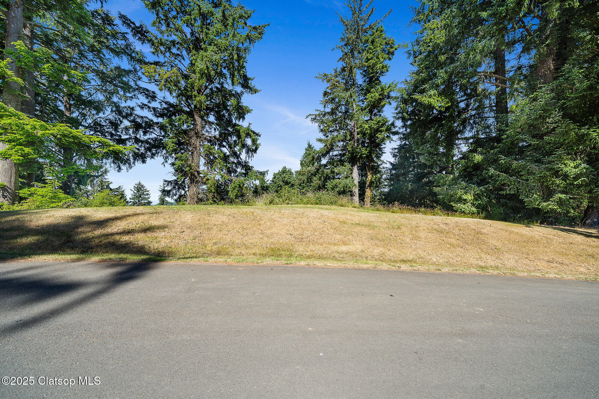 Nehalem Point Drive Property Photo 6