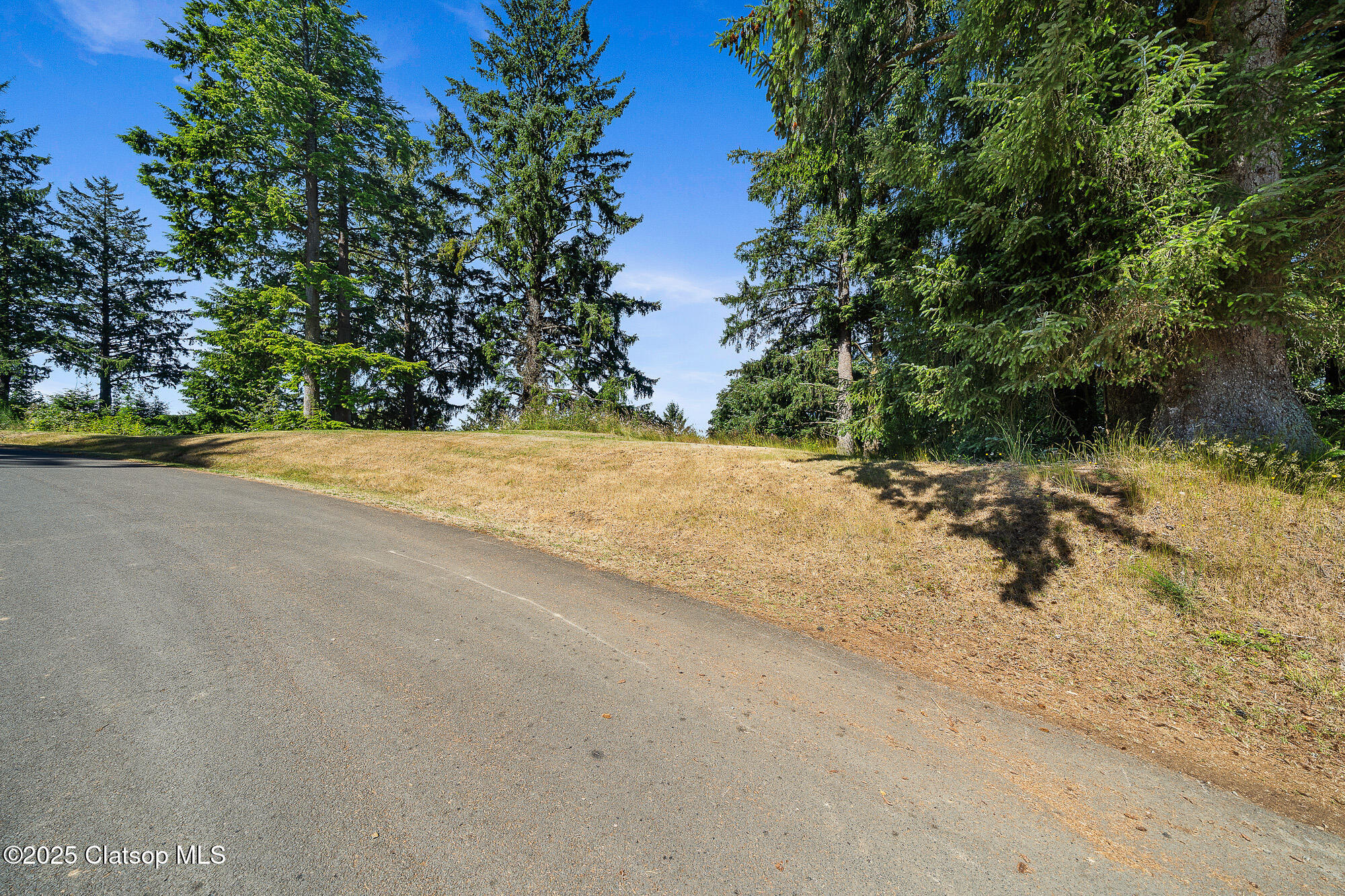 Nehalem Point Drive Property Photo 7