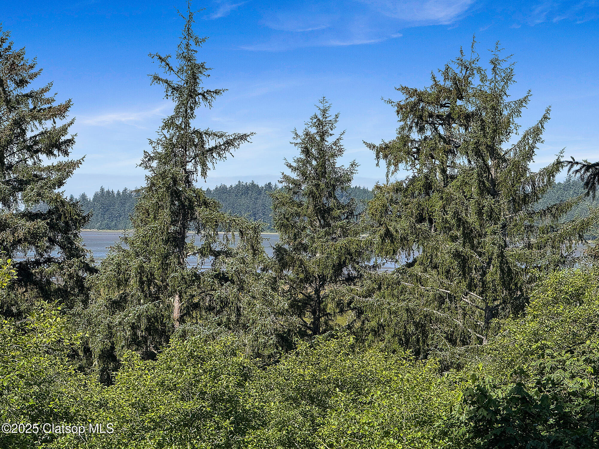 Nehalem Point Drive Property Photo 8