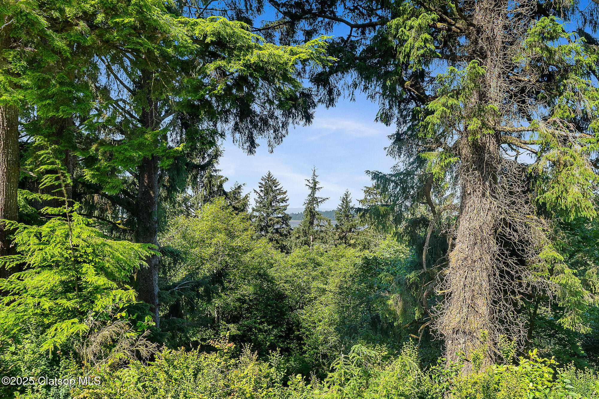 Nehalem Point Drive Property Photo 9