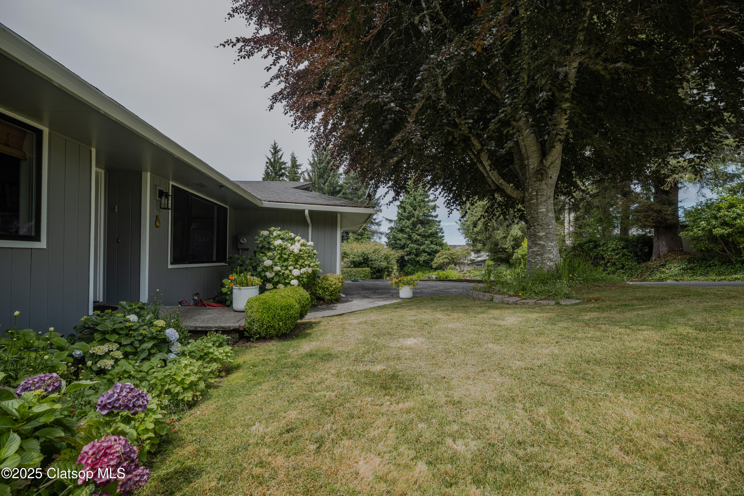 2087 Fernwood Street Property Photo 3