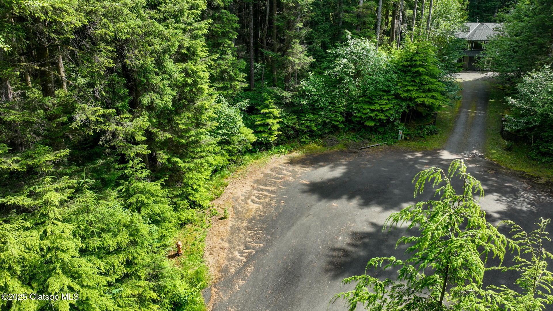 Clatsop Lane Property Photo 8