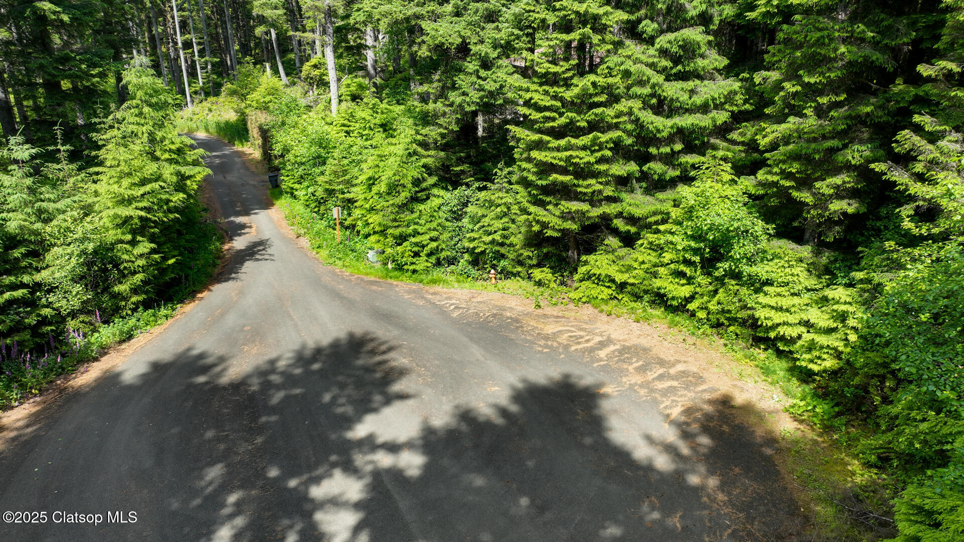 Clatsop Lane Property Photo 9