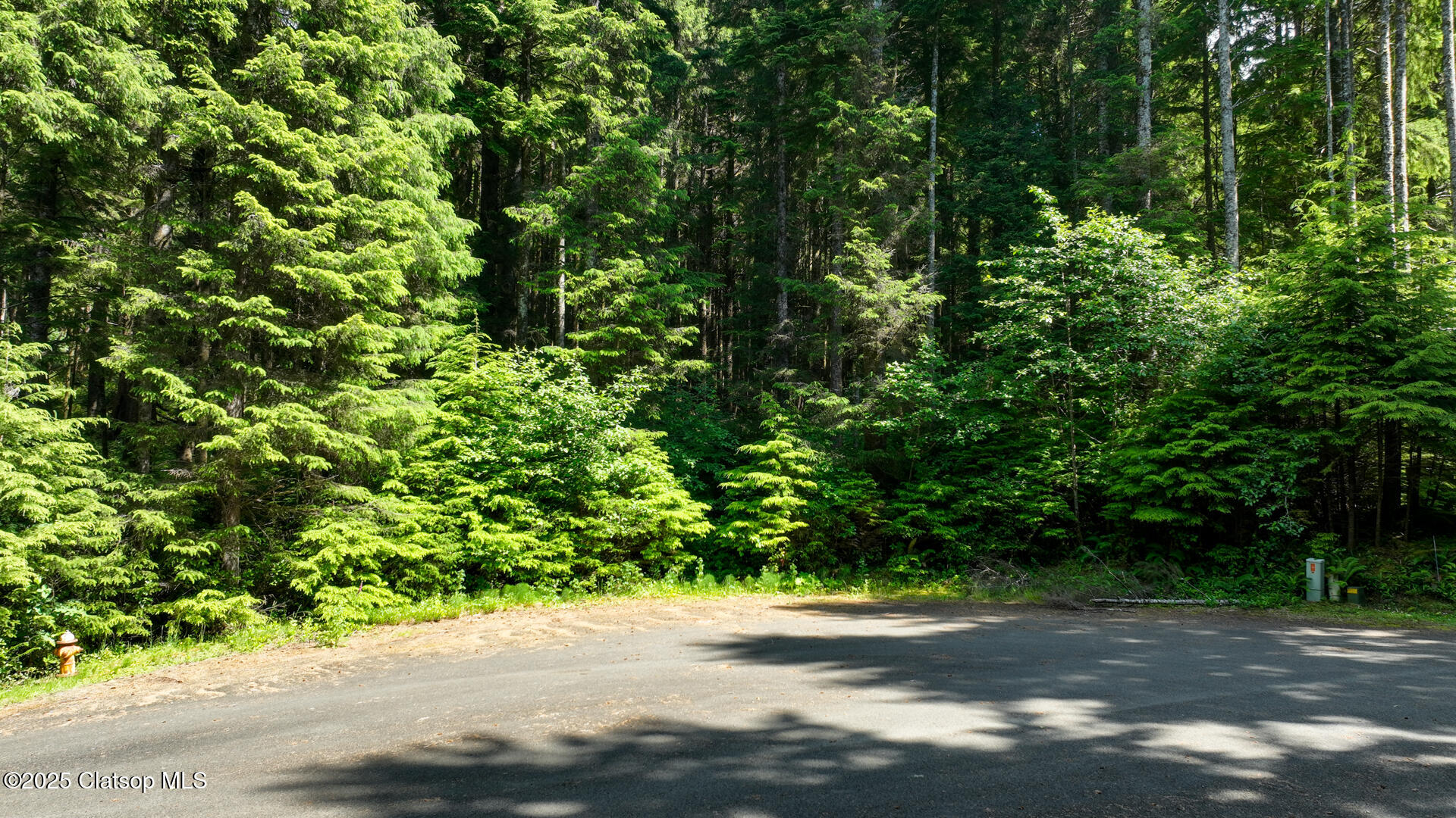 Clatsop Lane Property Photo 10