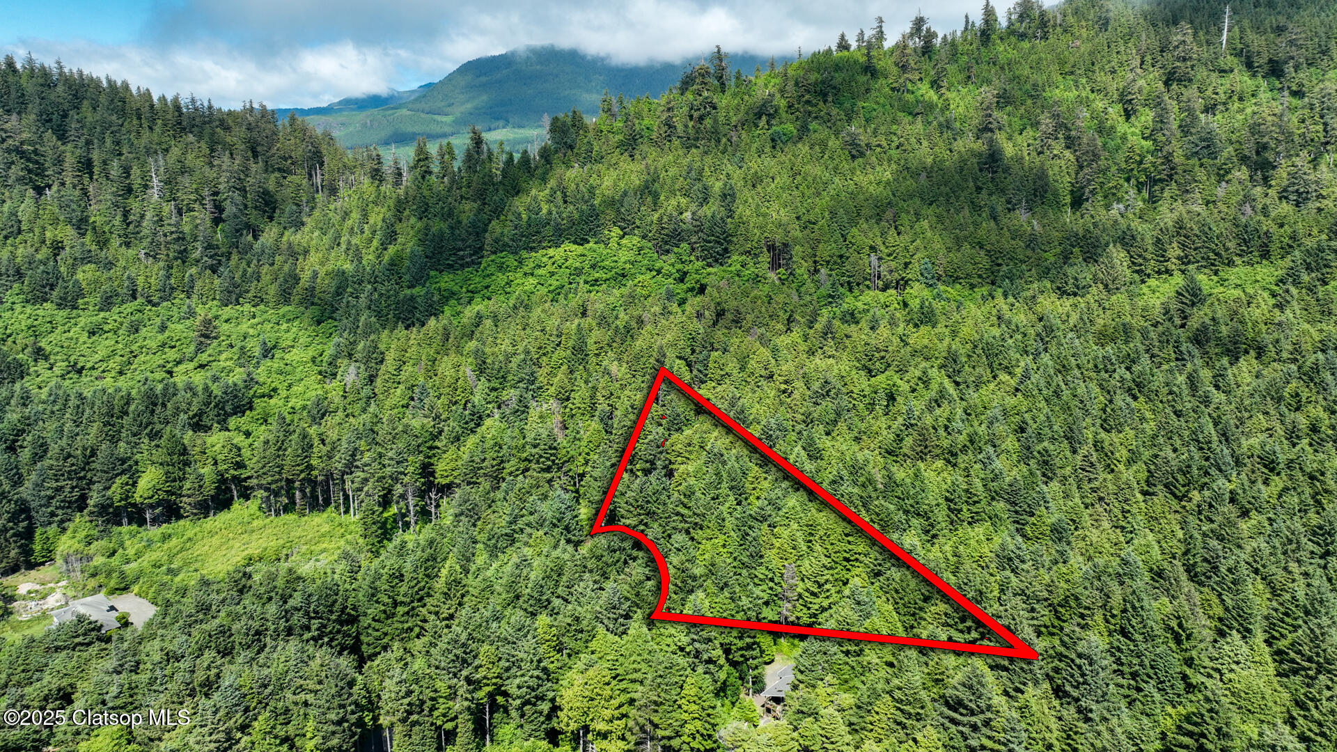 Clatsop Lane Property Photo 11