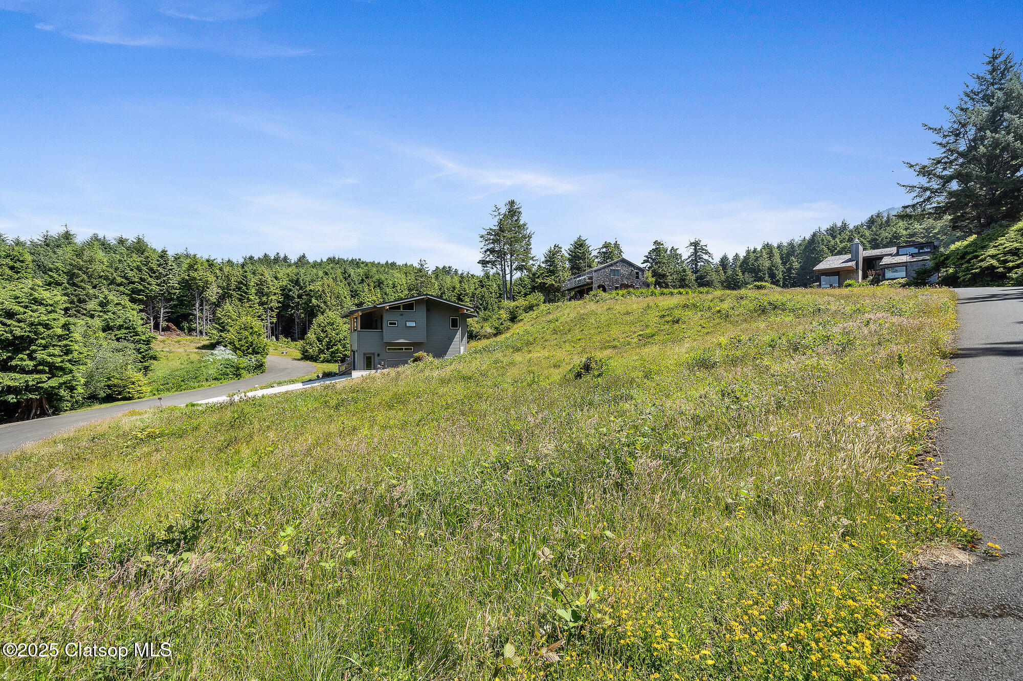 Big Cedar Dr Property Photo 7