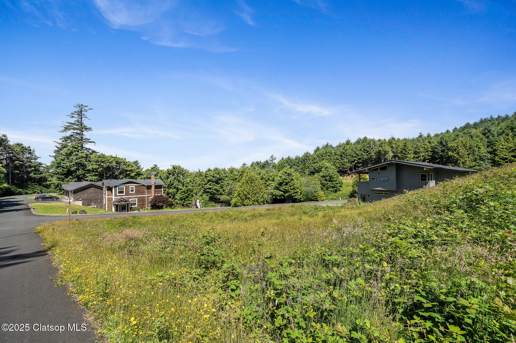 Big Cedar Dr Property Photo 8