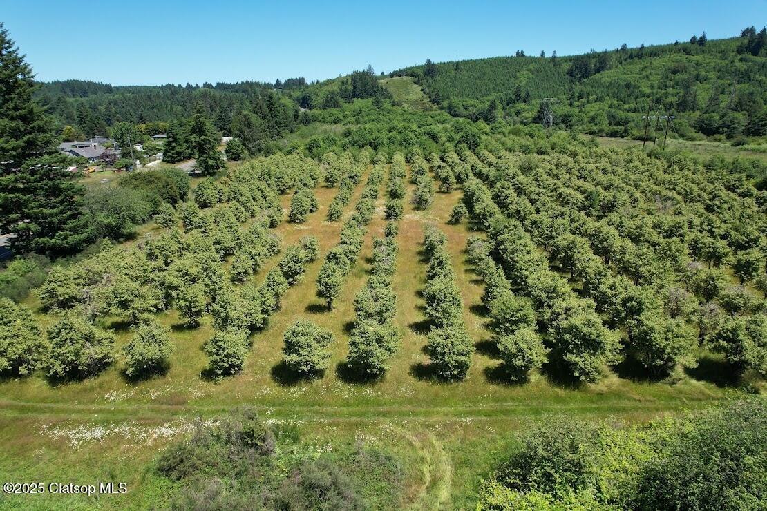 Vacant Land Off Hwy 30 Property Photo 1