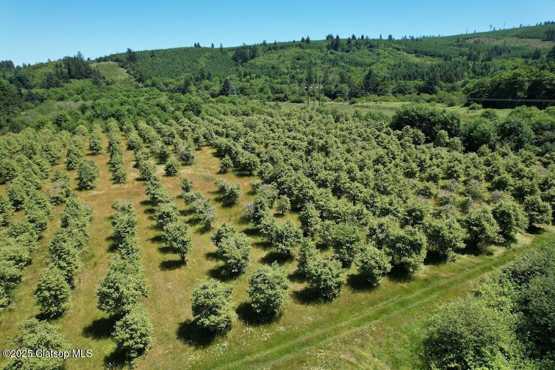 Vacant Land Off Hwy 30 Property Photo 2