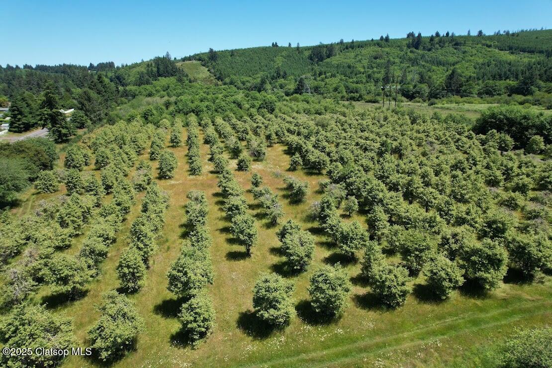 Vacant Land Off Hwy 30 Property Photo 3
