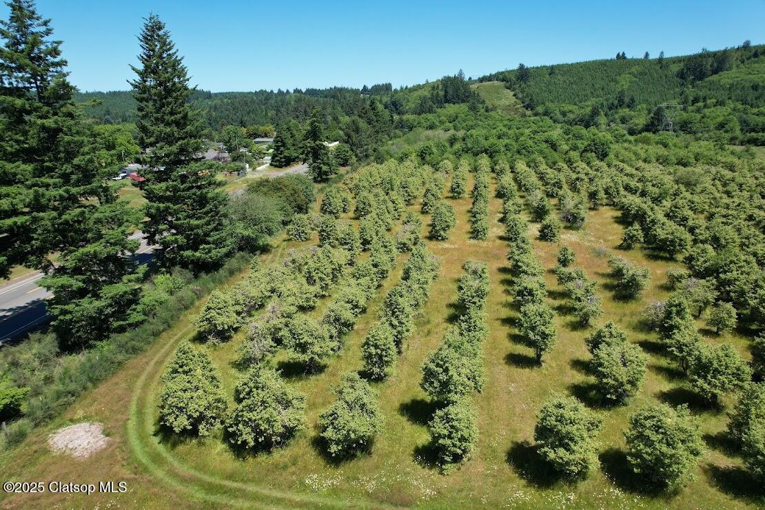 Vacant Land Off Hwy 30 Property Photo 4