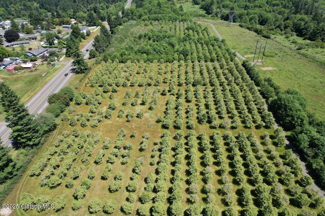 Vacant Land Off Hwy 30 Property Photo 6