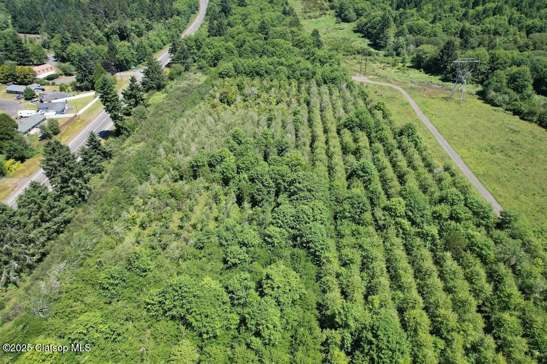 Vacant Land Off Hwy 30 Property Photo 7