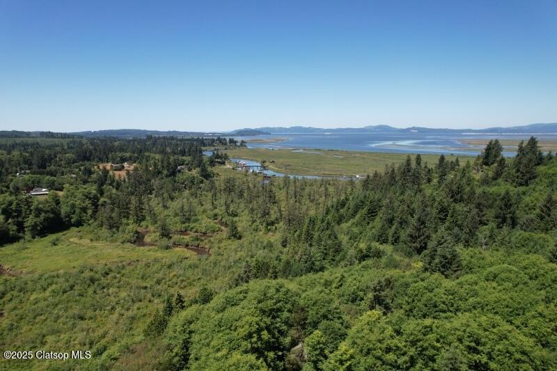 92768 Pearson Road Property Photo 5
