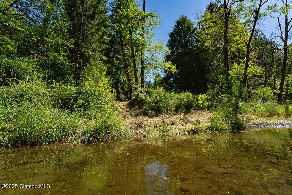78488 Hwy 53 Property Photo 45