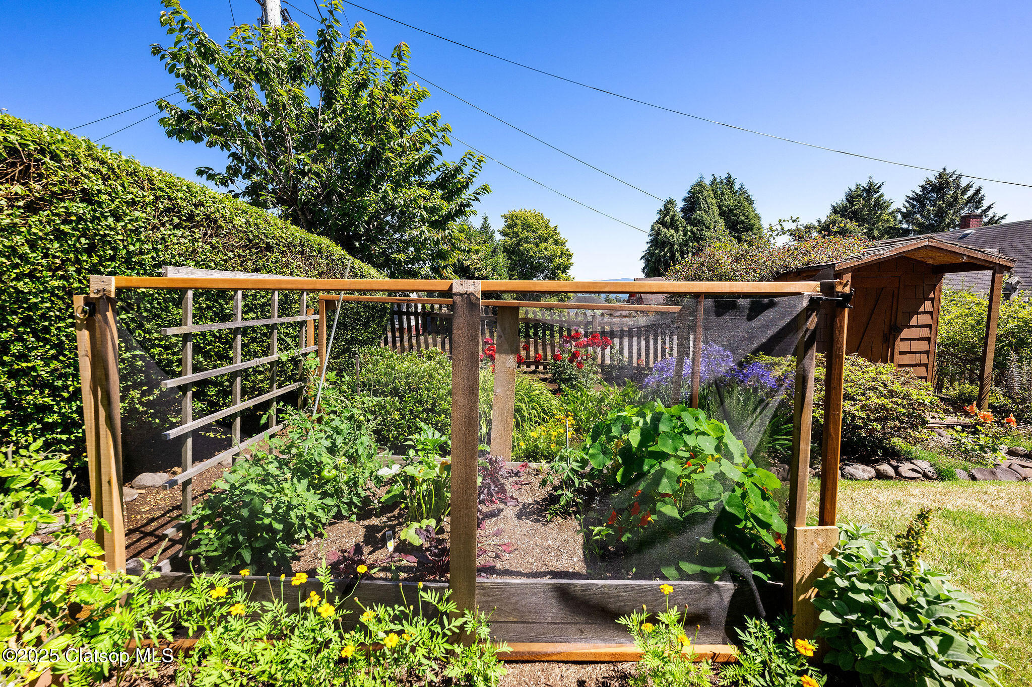 206 Bristol Street Property Photo 15