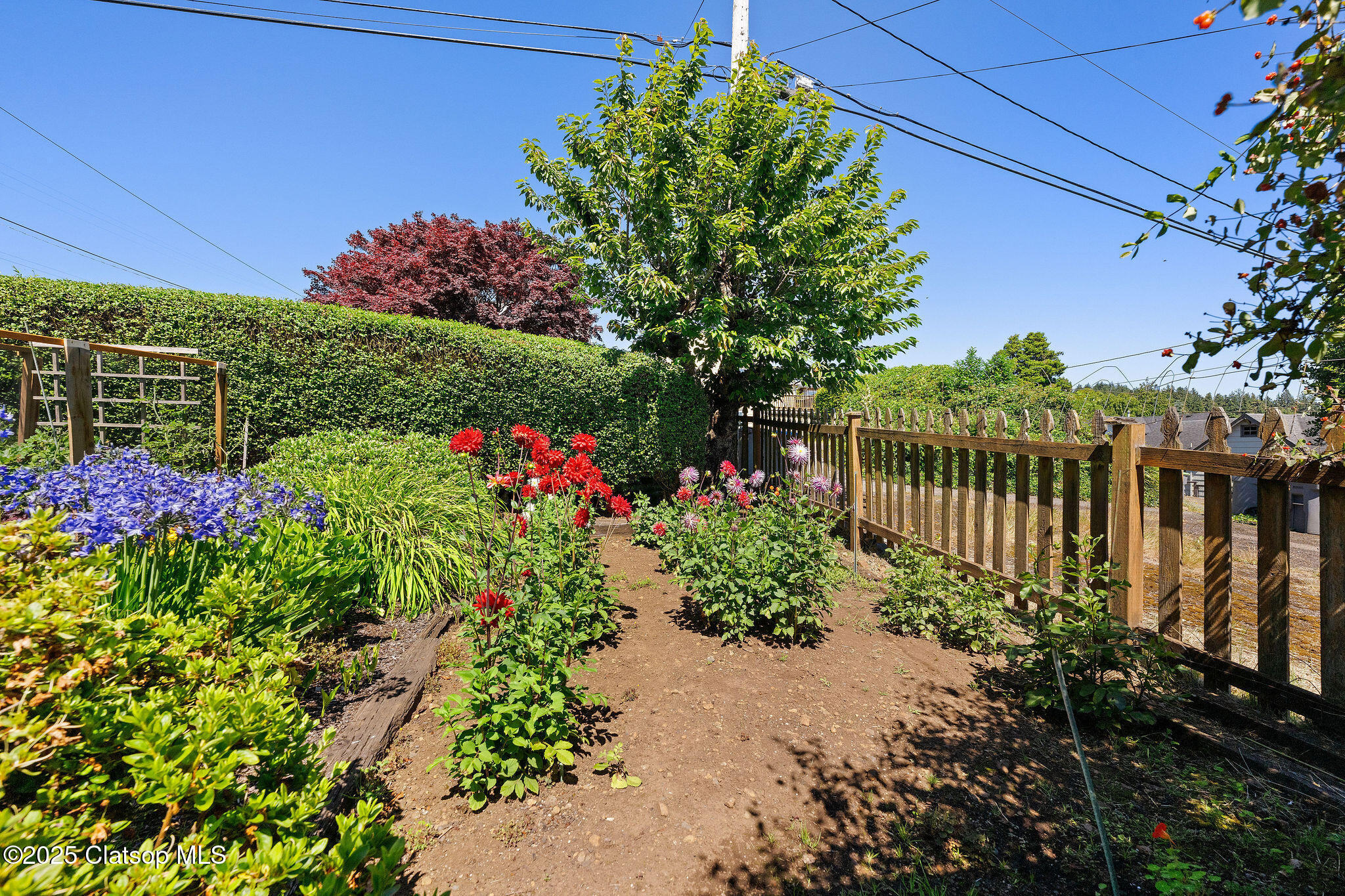 206 Bristol Street Property Photo 16