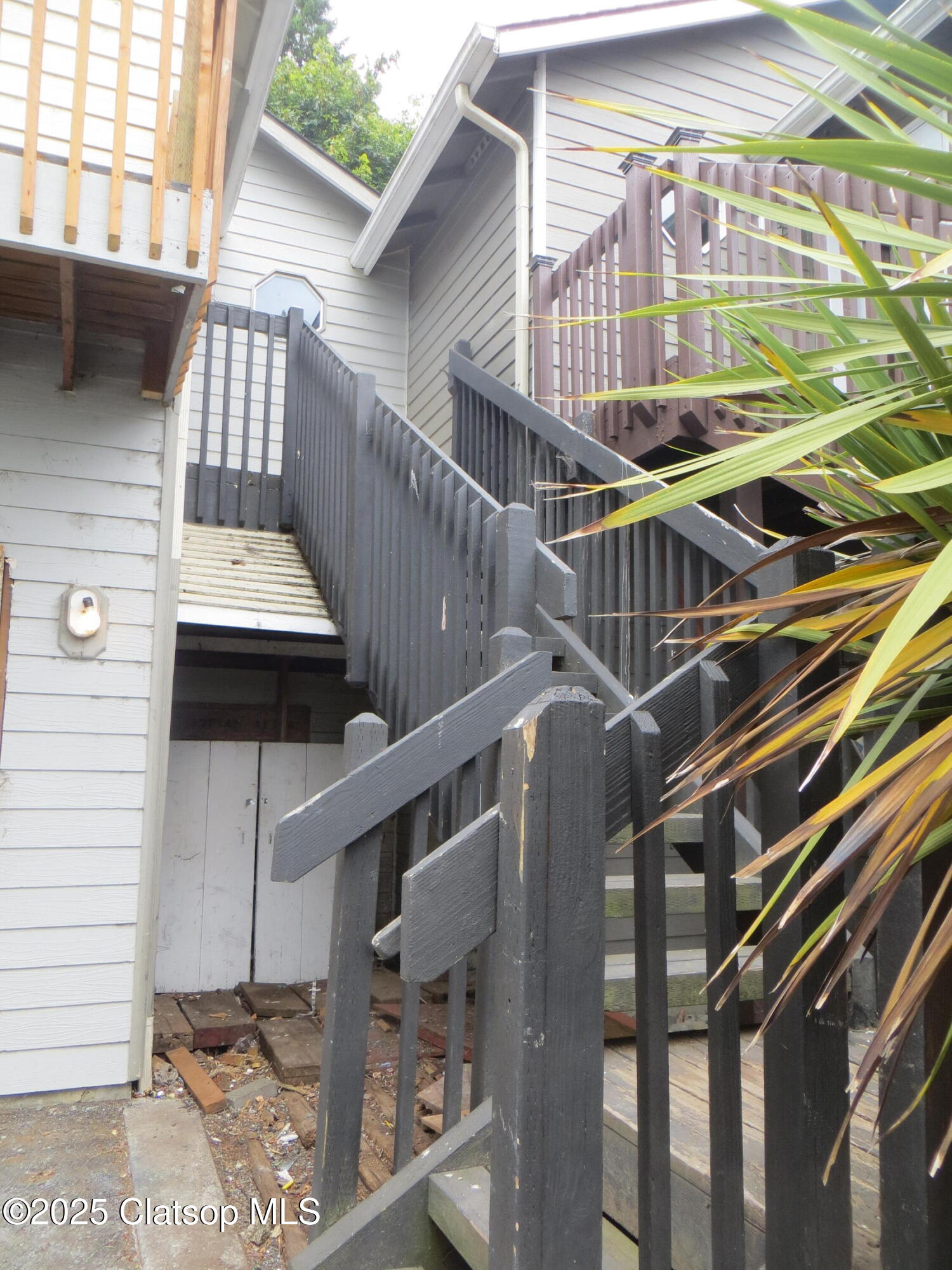 1316 Olney Avenue Property Photo 4