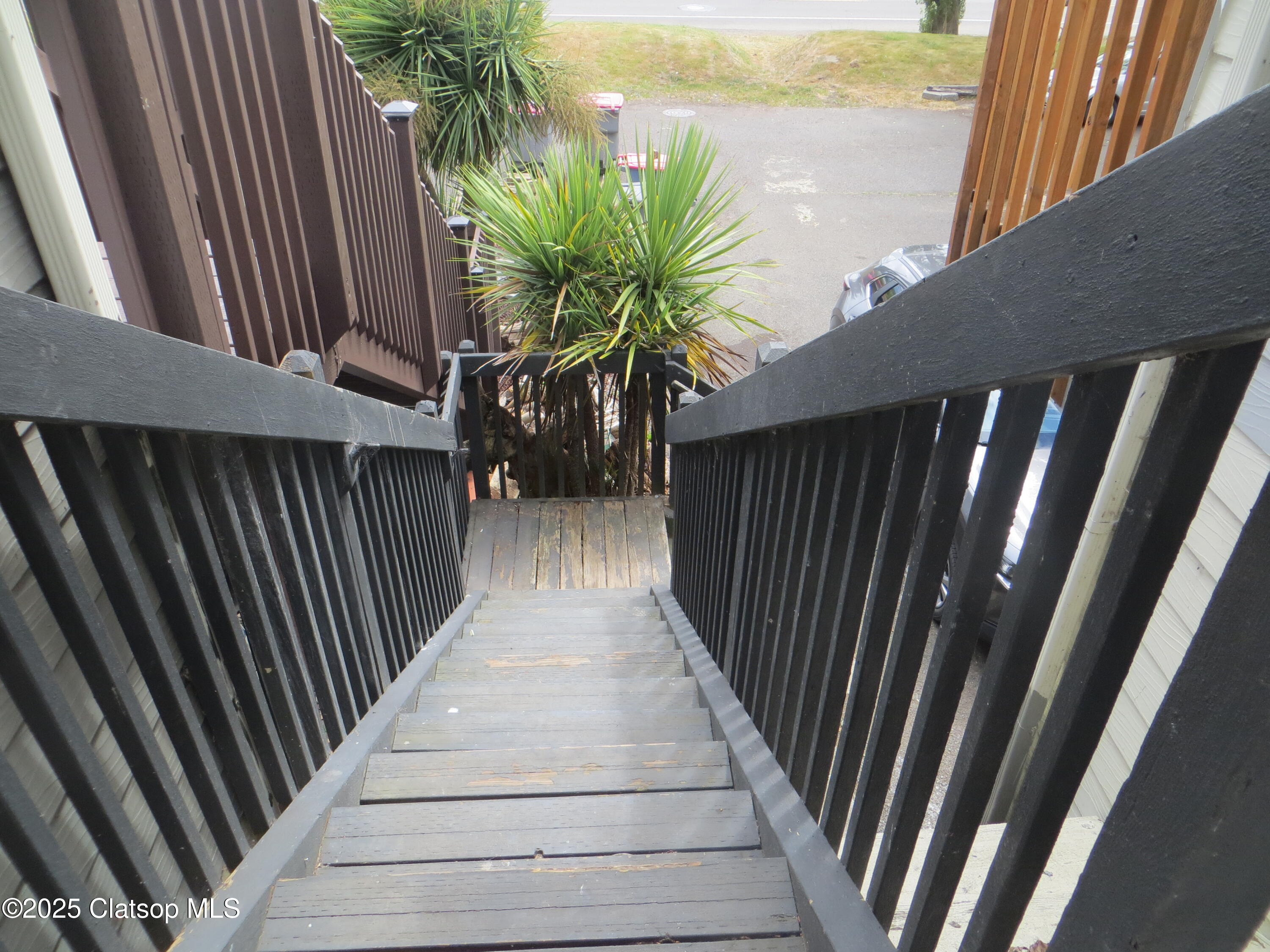 1316 Olney Avenue Property Photo 5