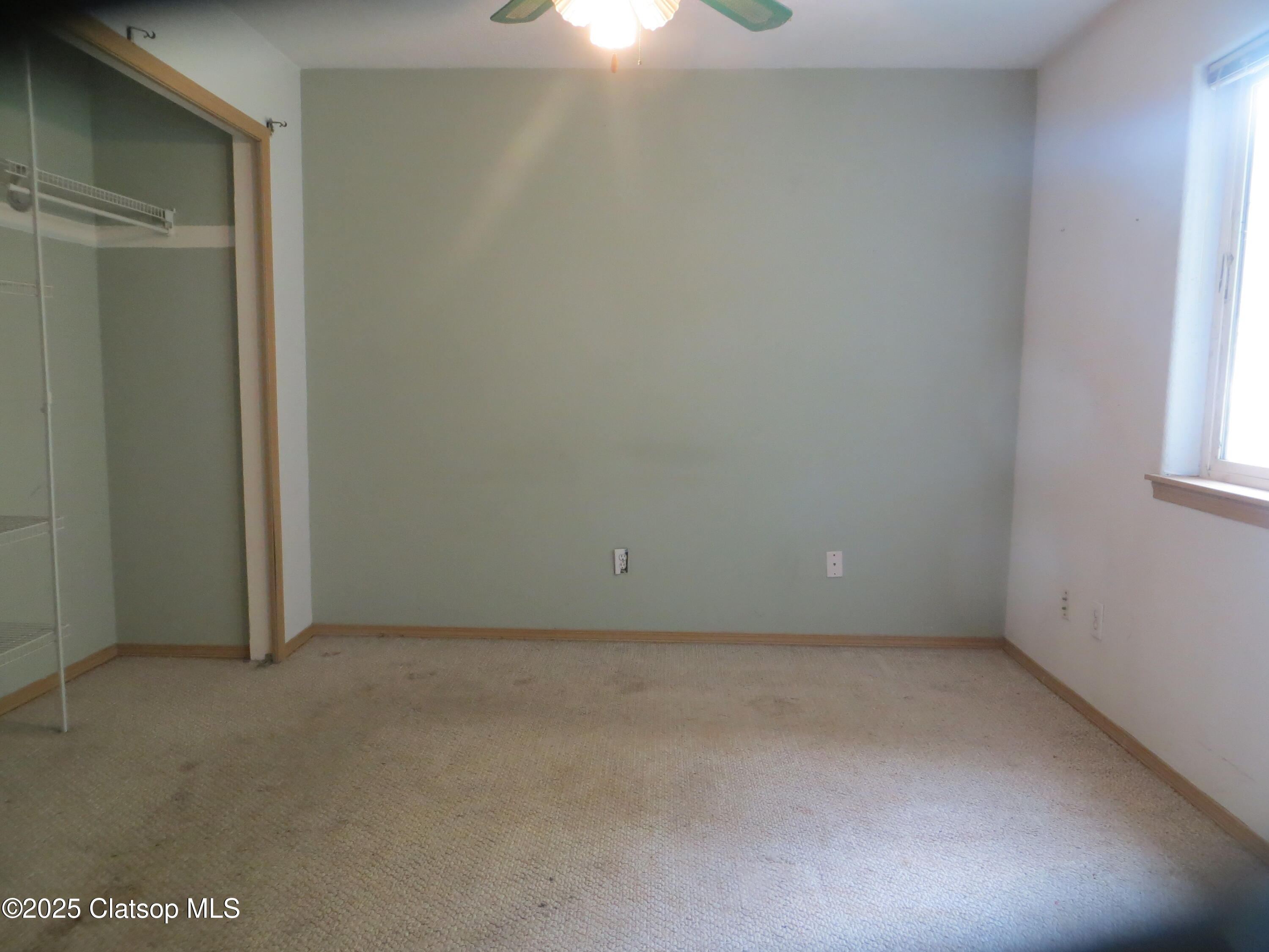 1316 Olney Avenue Property Photo 11