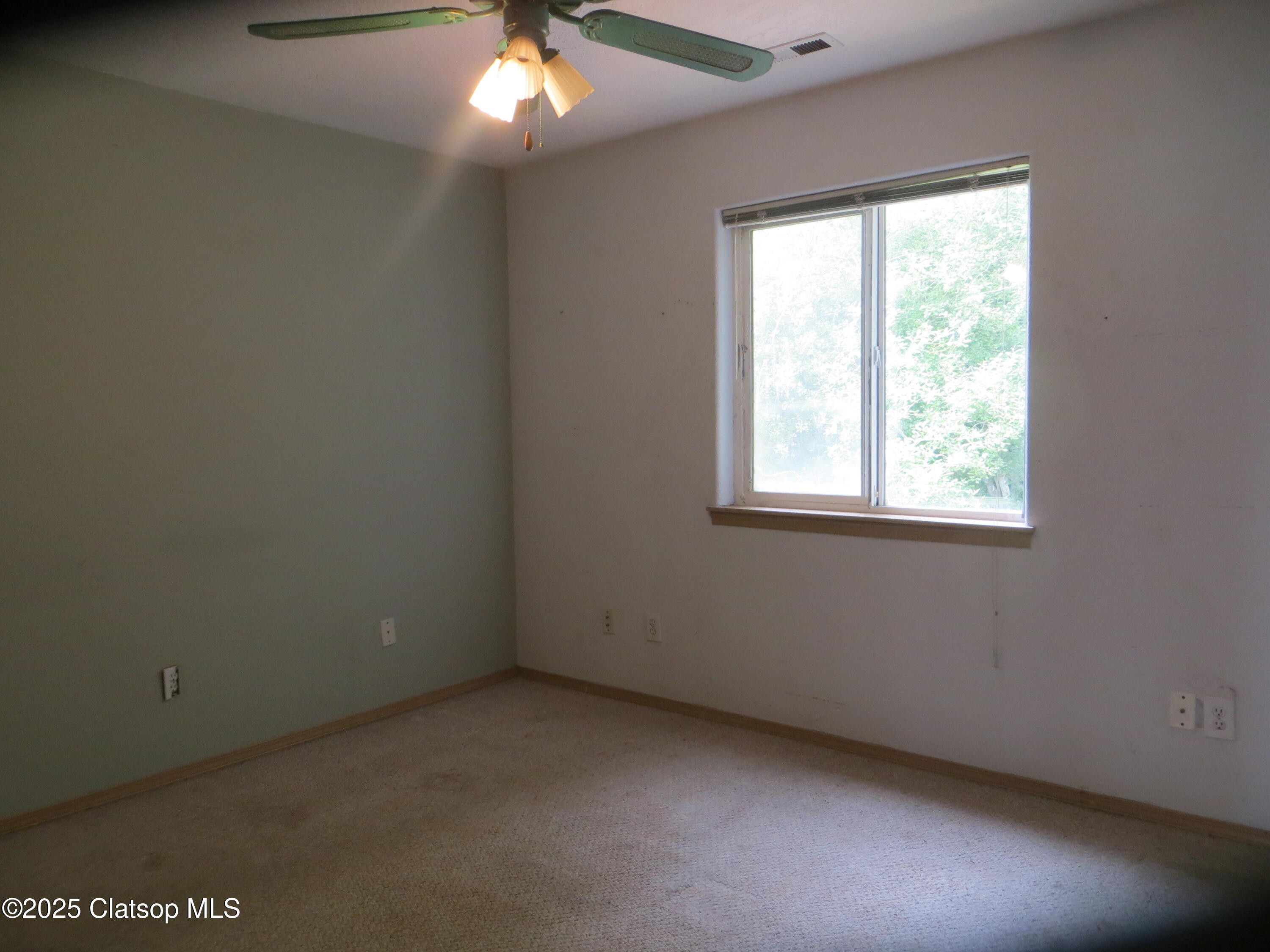 1316 Olney Avenue Property Photo 13