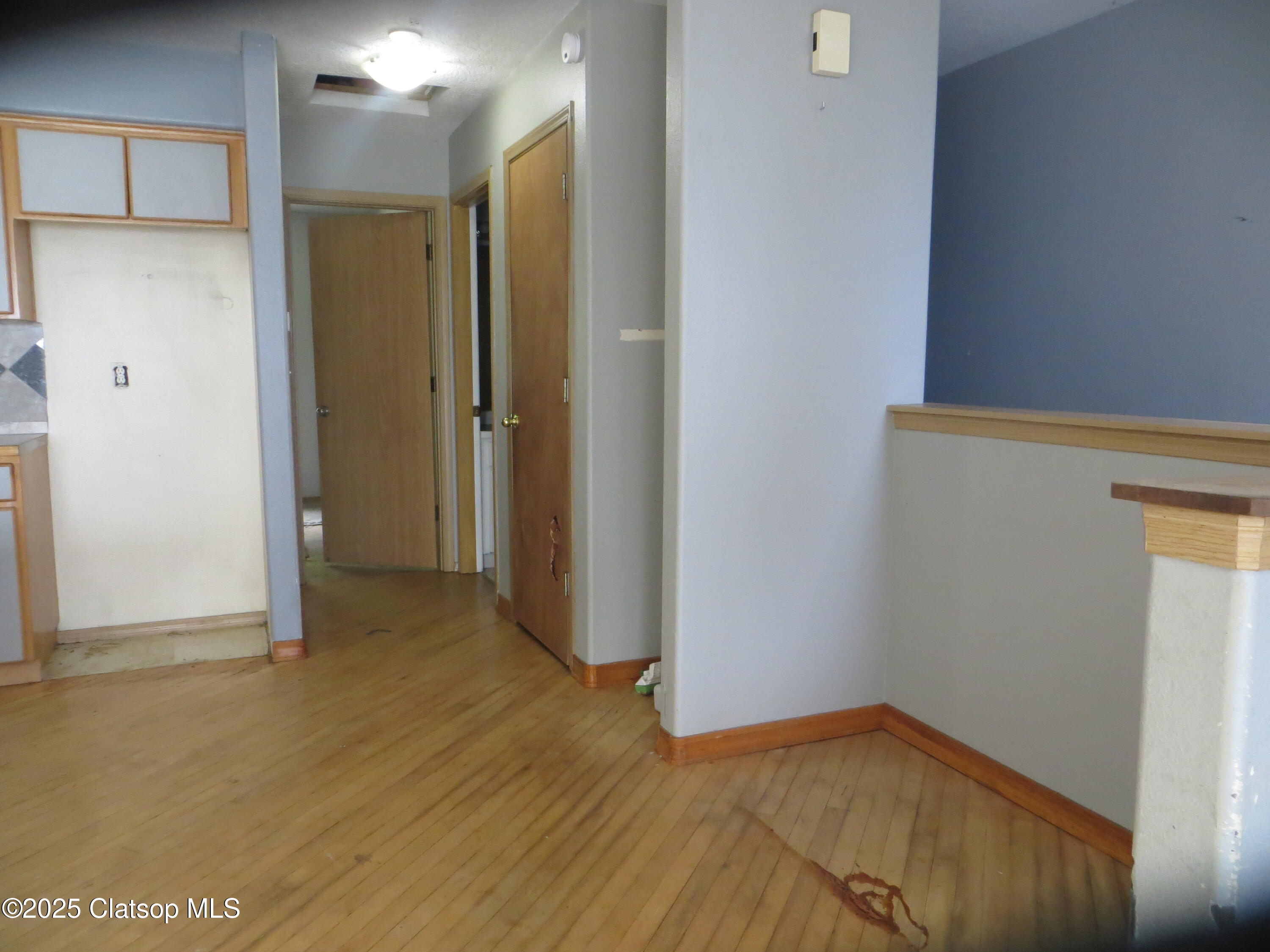 1316 Olney Avenue Property Photo 16