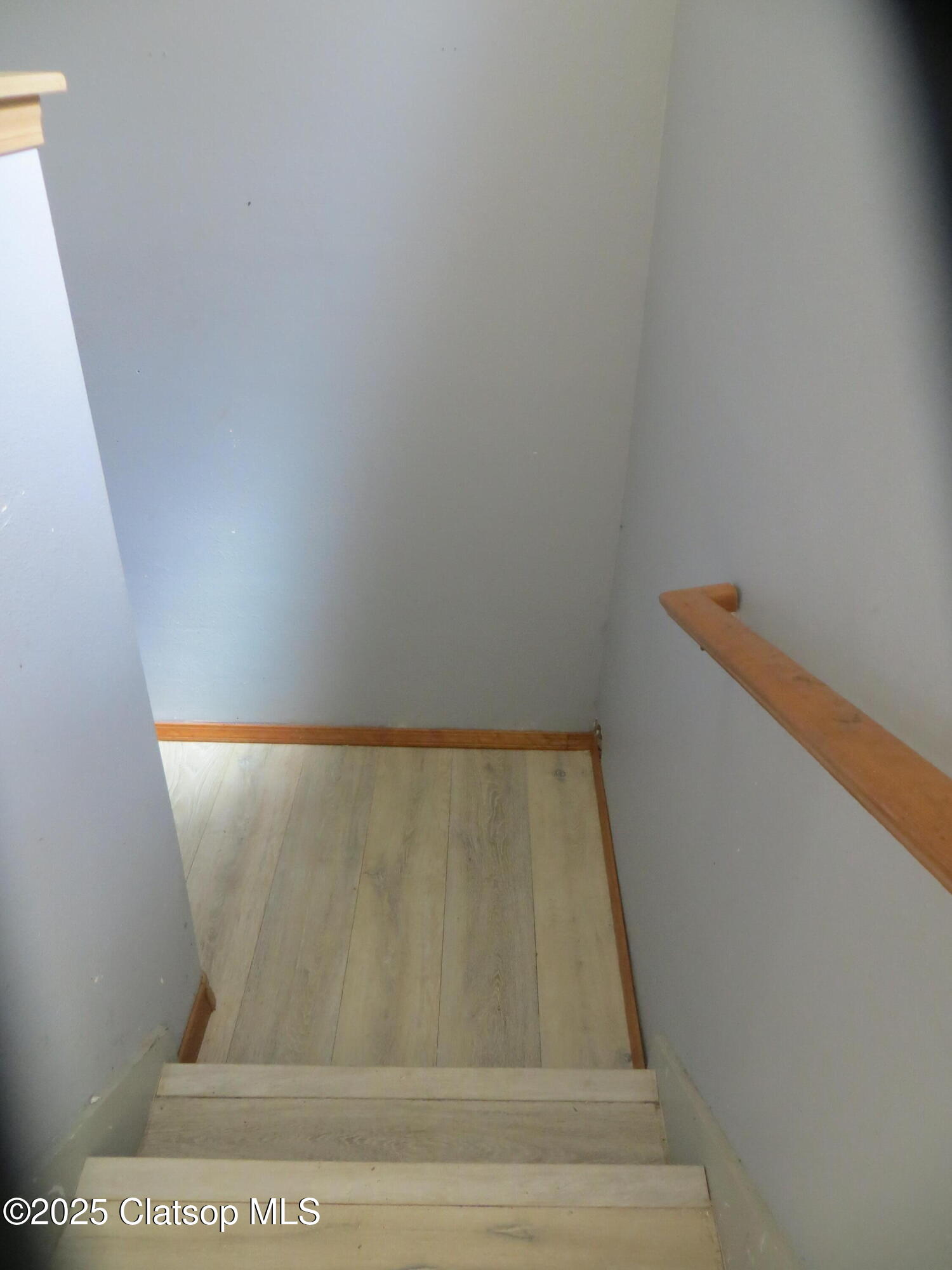 1316 Olney Avenue Property Photo 21