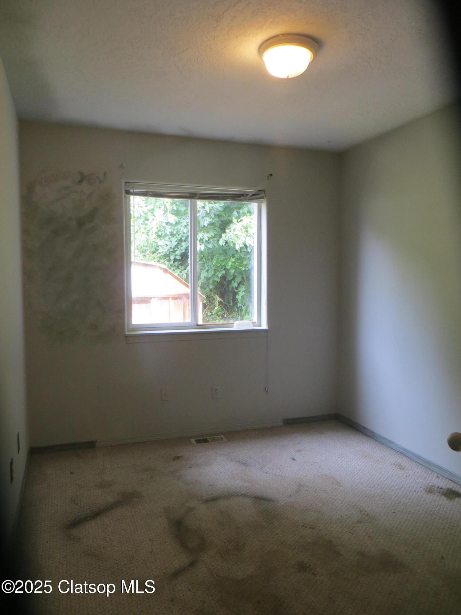 1316 Olney Avenue Property Photo 22