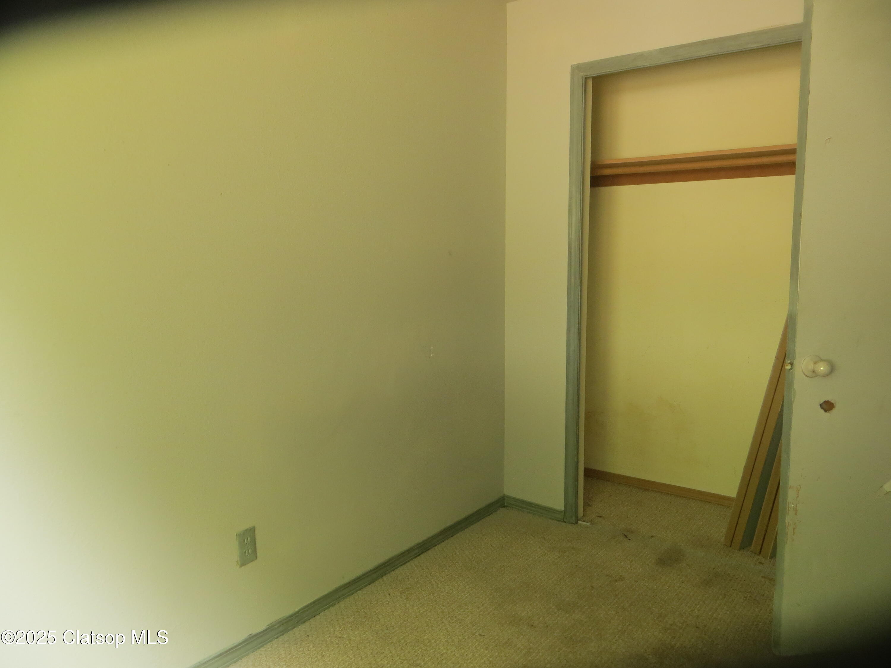 1316 Olney Avenue Property Photo 23