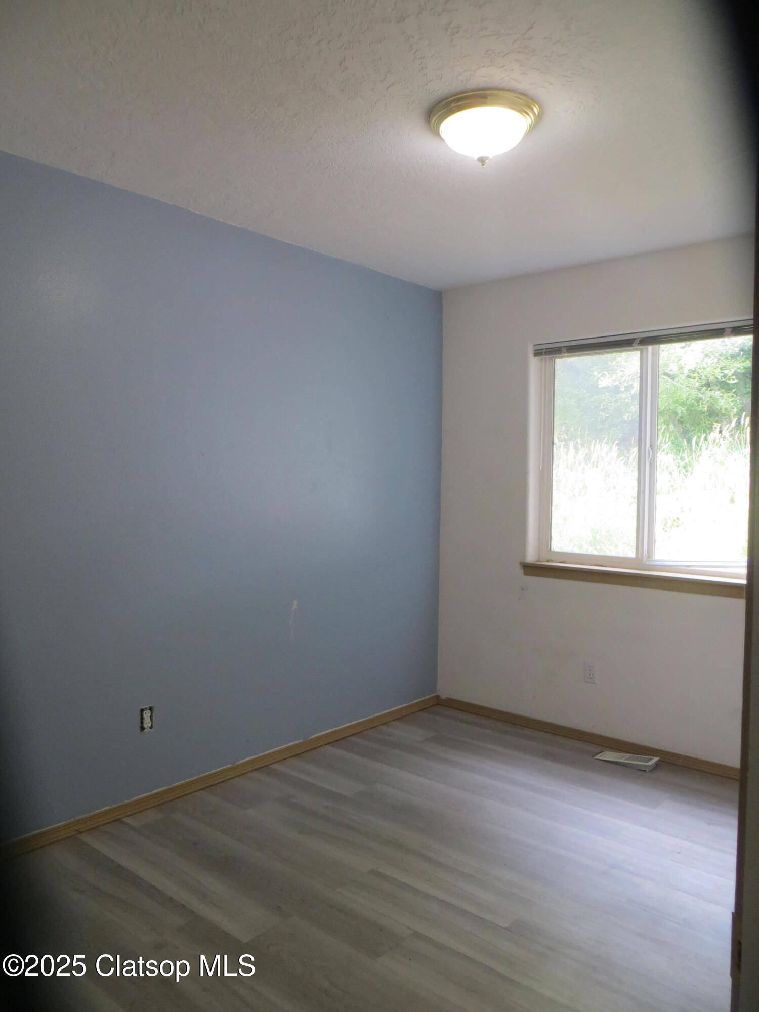 1316 Olney Avenue Property Photo 26