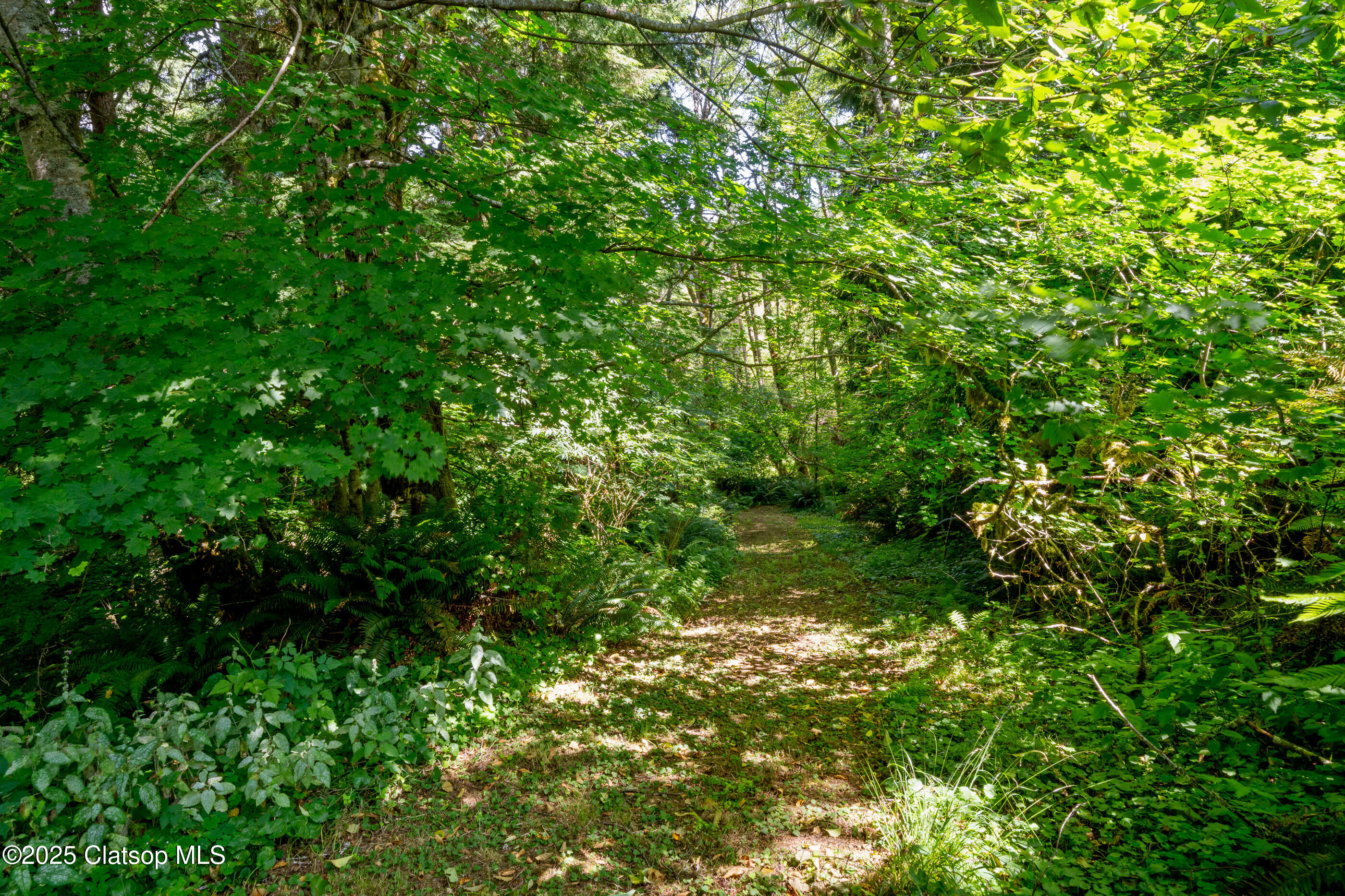 19350 Gods Valley Road Property Photo 45