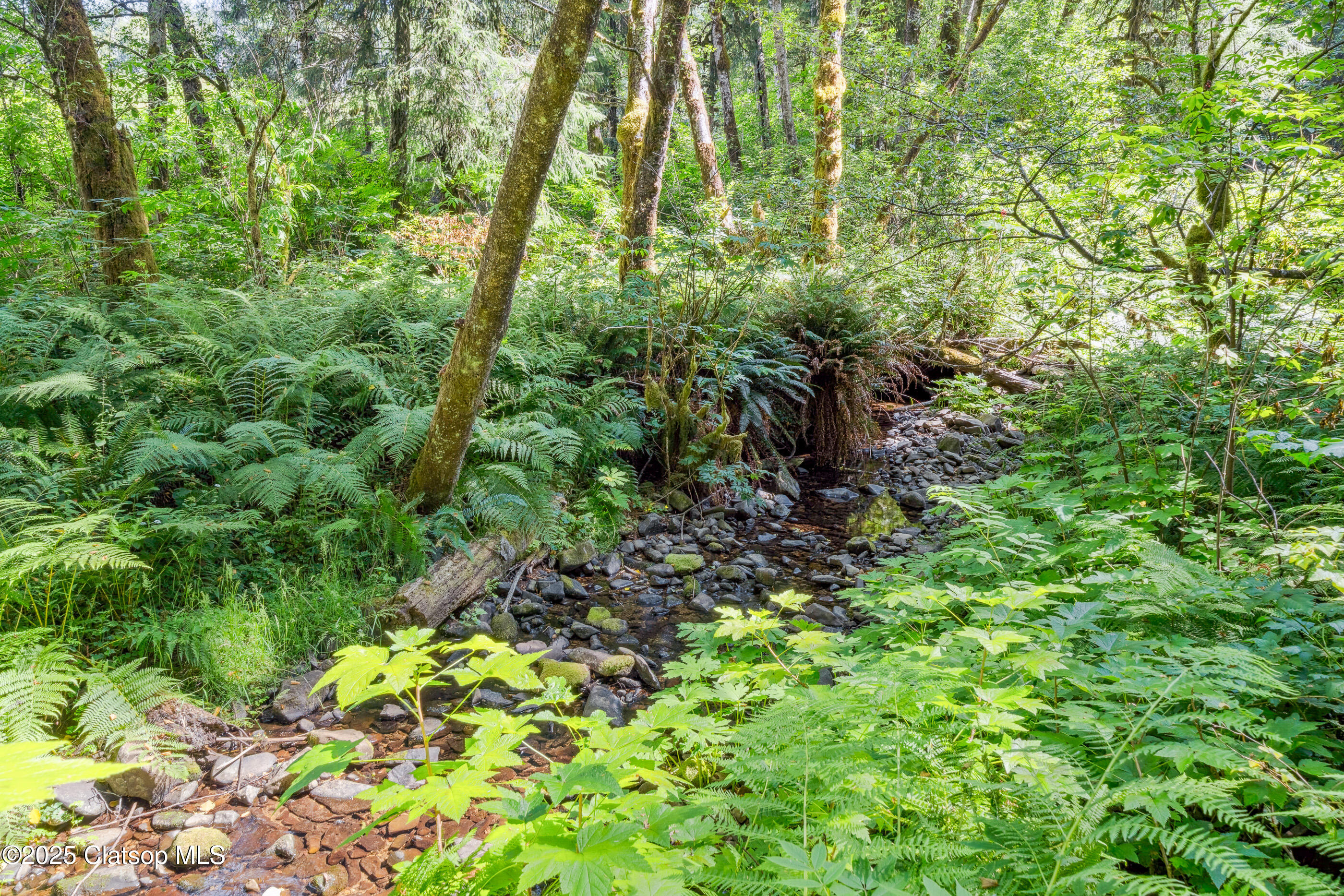 19350 Gods Valley Road Property Photo 46