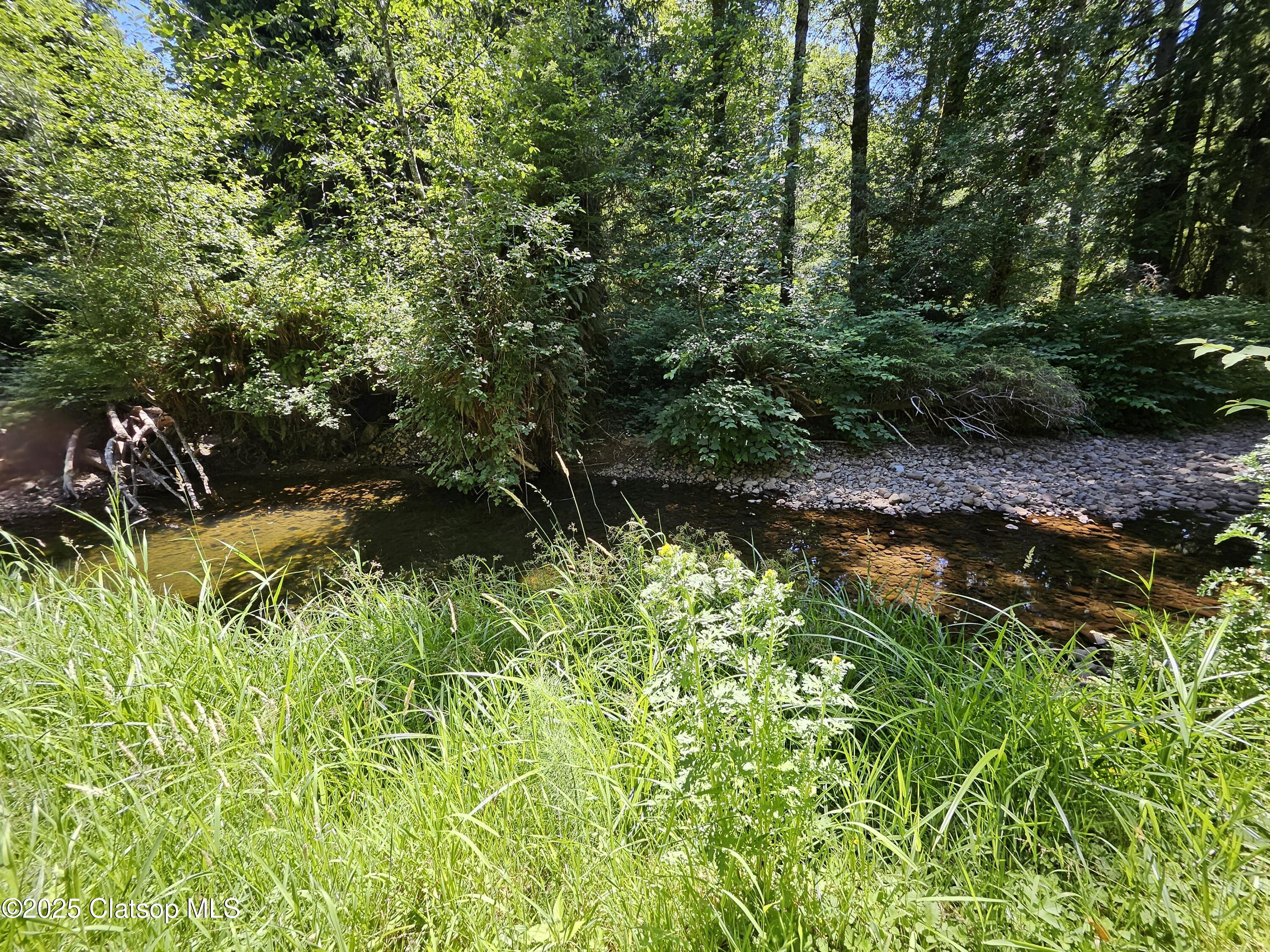 Vl Adj To 36046 Hwy 26 Property Photo 7