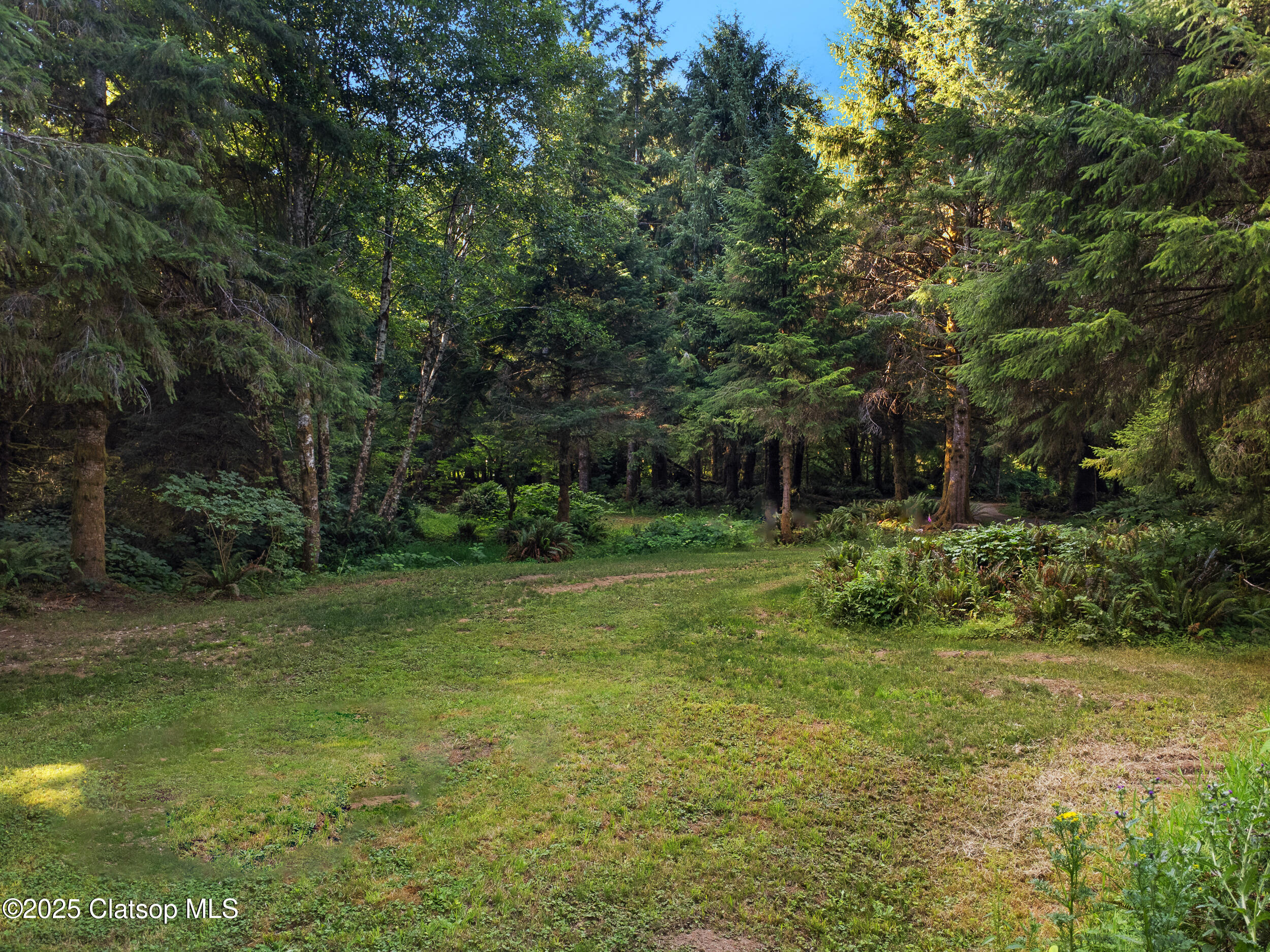 Vl Adj To 36046 Hwy 26 Property Photo 16