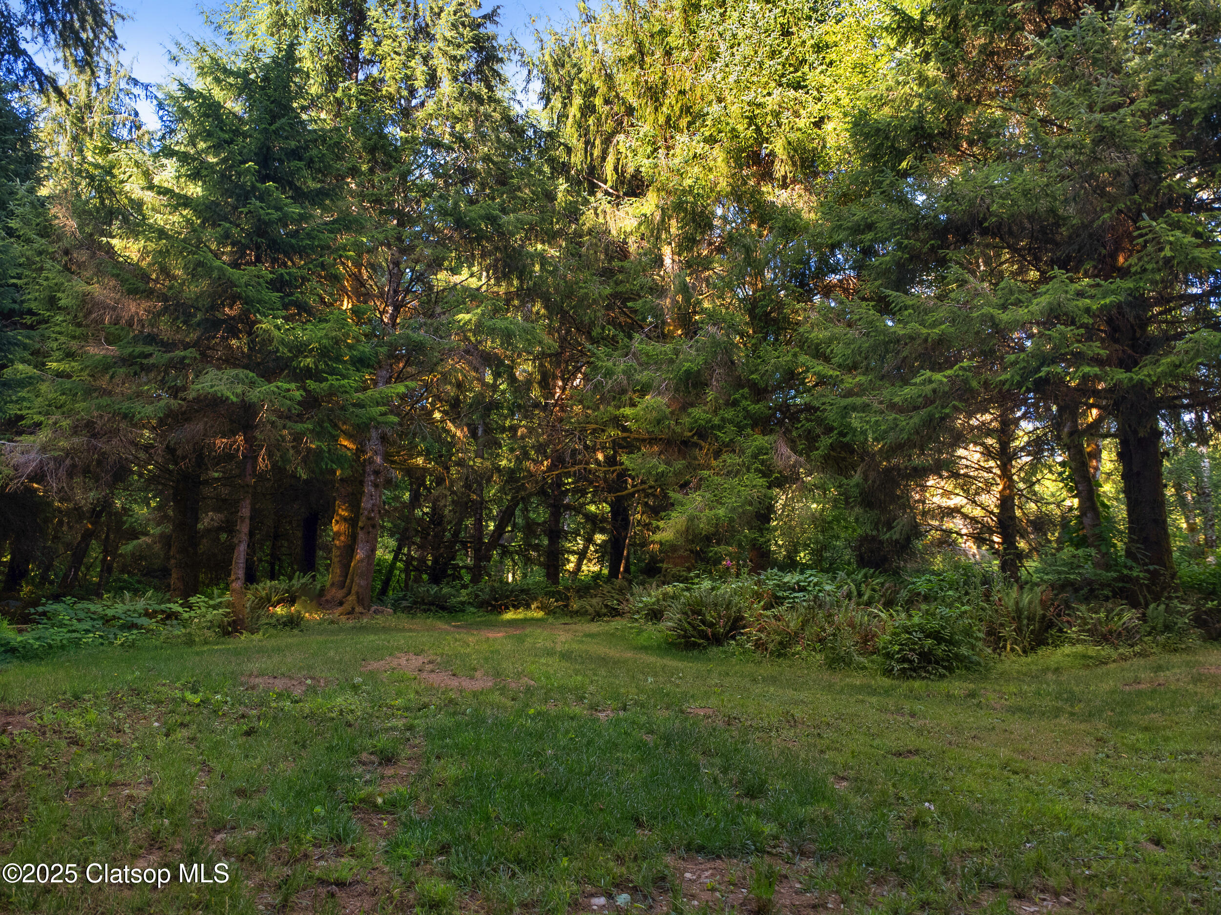 Vl Adj To 36046 Hwy 26 Property Photo 17
