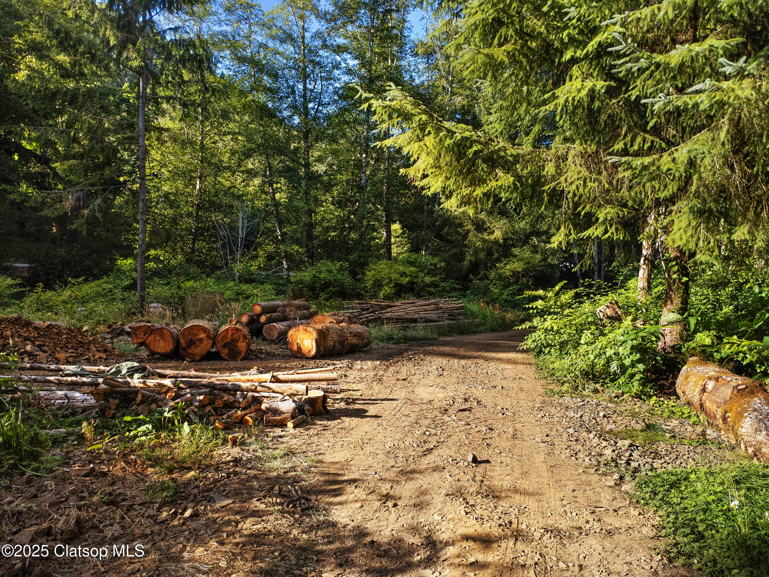 Vl Adj To 36046 Hwy 26 Property Photo 21