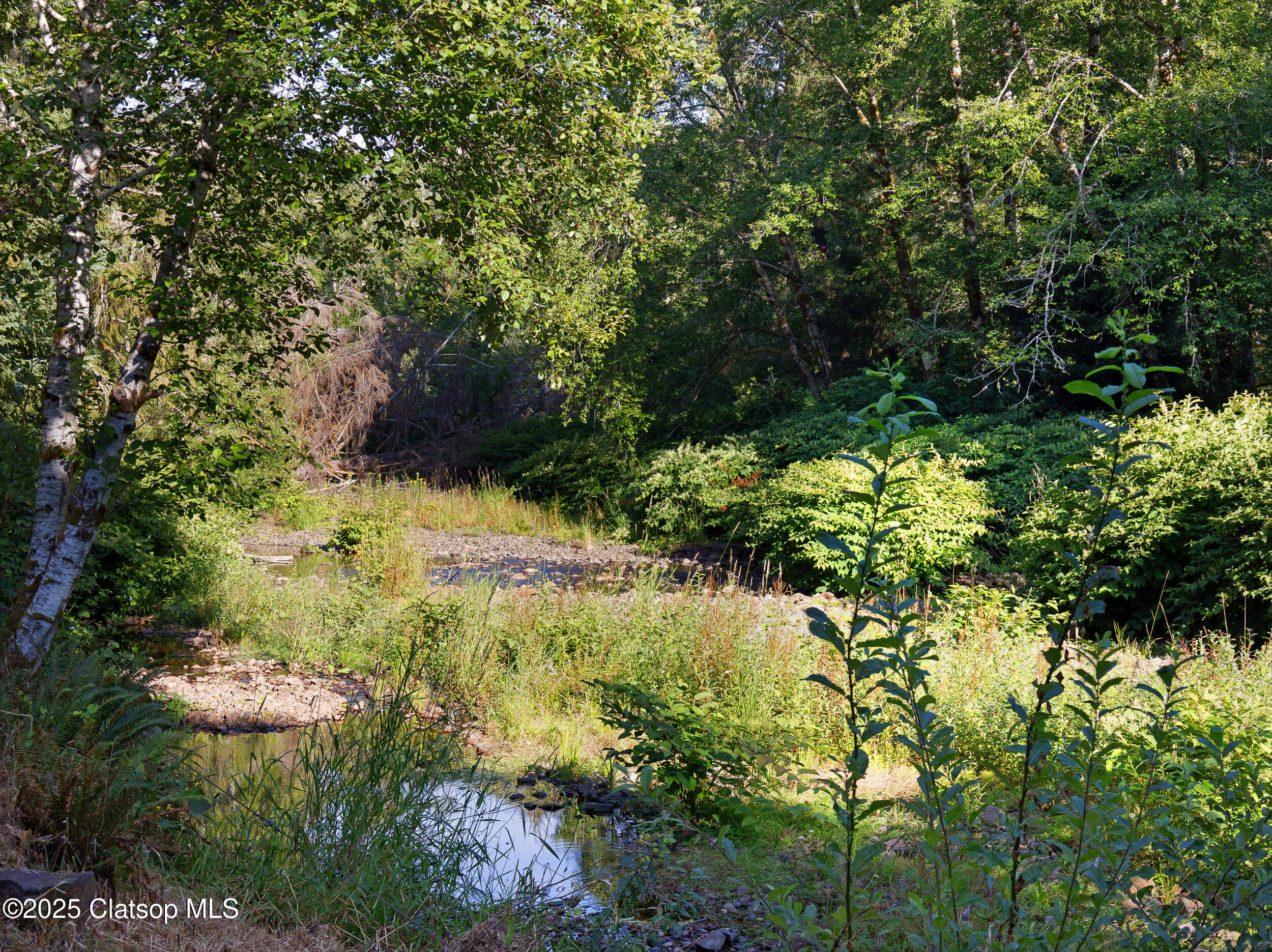 Vl Adj To 36046 Hwy 26 Property Photo 23